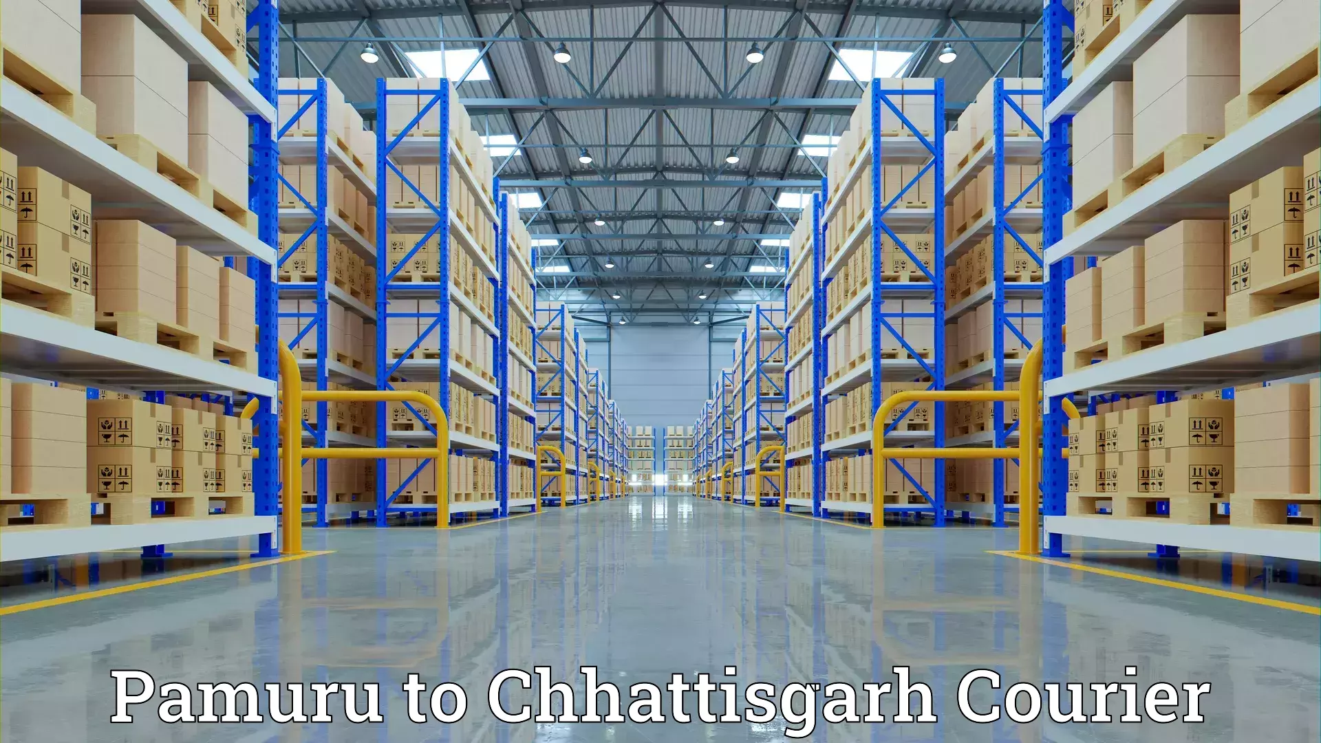 Reliable household shifting Pamuru to Chhattisgarh