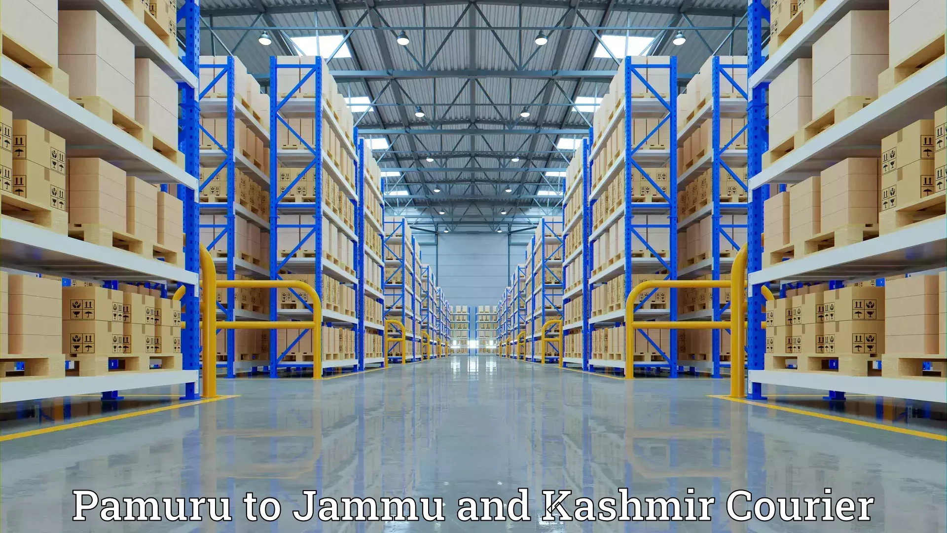 Safe home relocation in Pamuru to Jammu and Kashmir