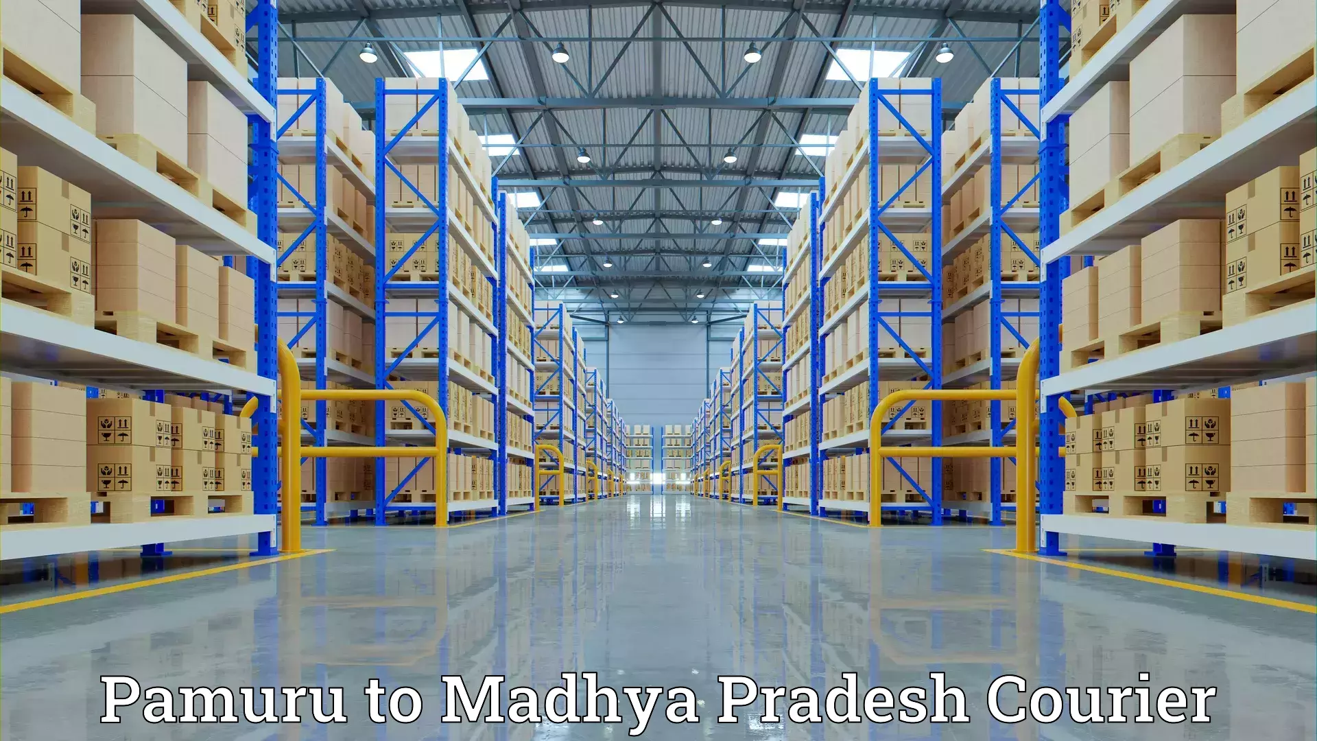 Household goods movers Pamuru to Singrauli