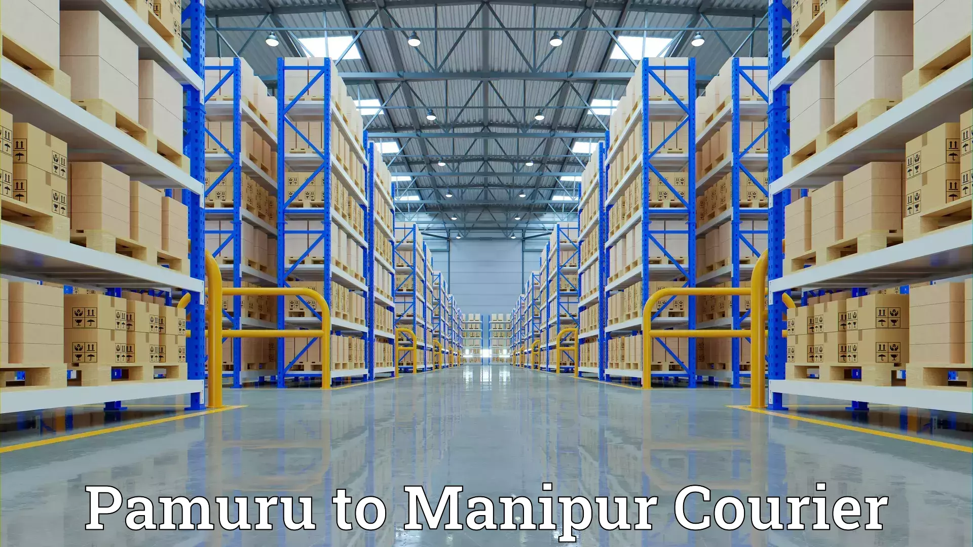 Furniture transport specialists Pamuru to Manipur