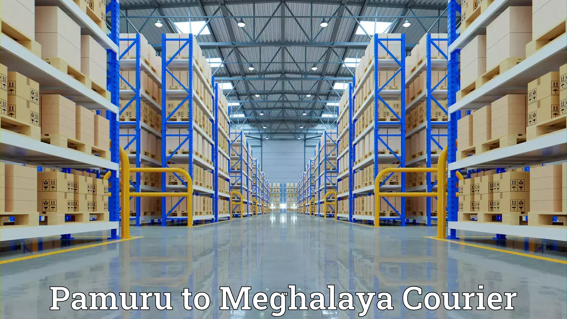 Quality moving services Pamuru to Meghalaya