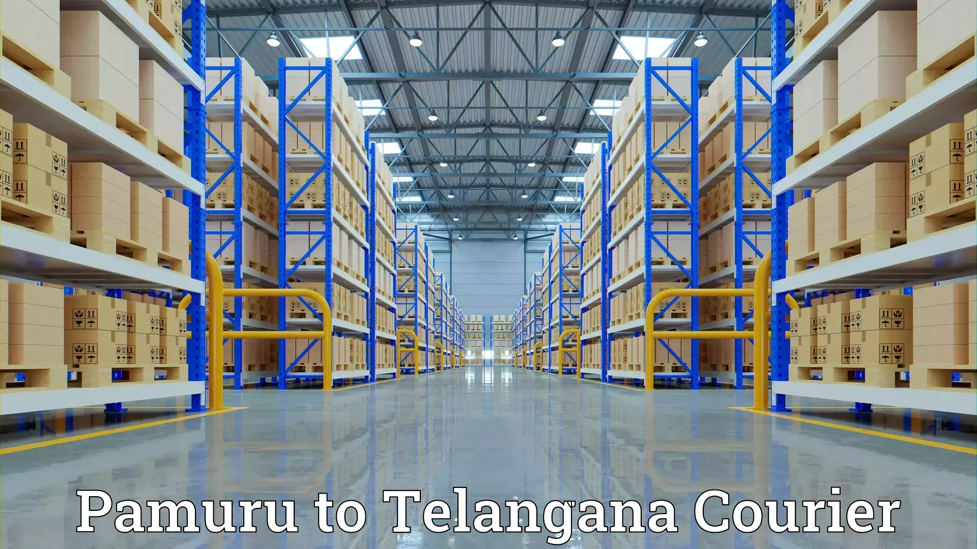 Quick moving services Pamuru to Telangana