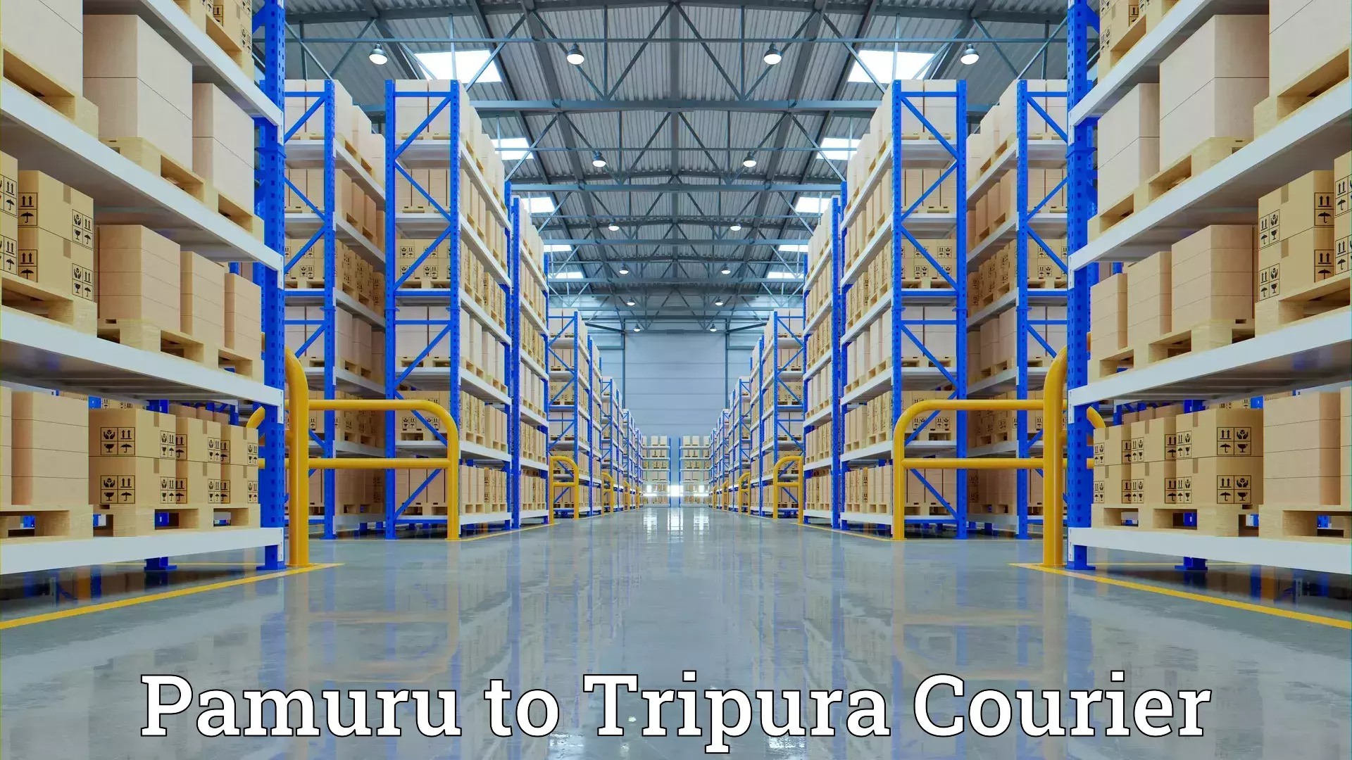 Furniture relocation services Pamuru to Tripura