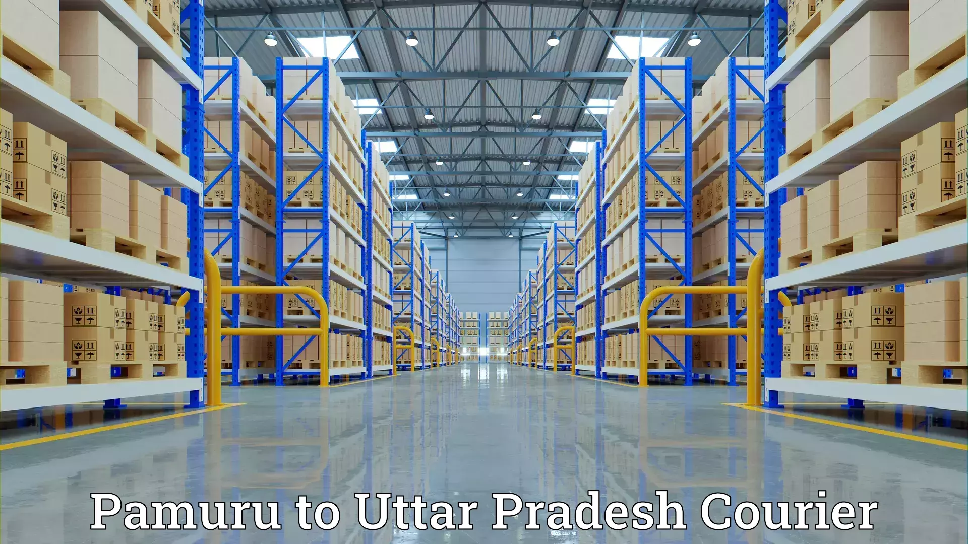 Trusted home movers Pamuru to Uttar Pradesh