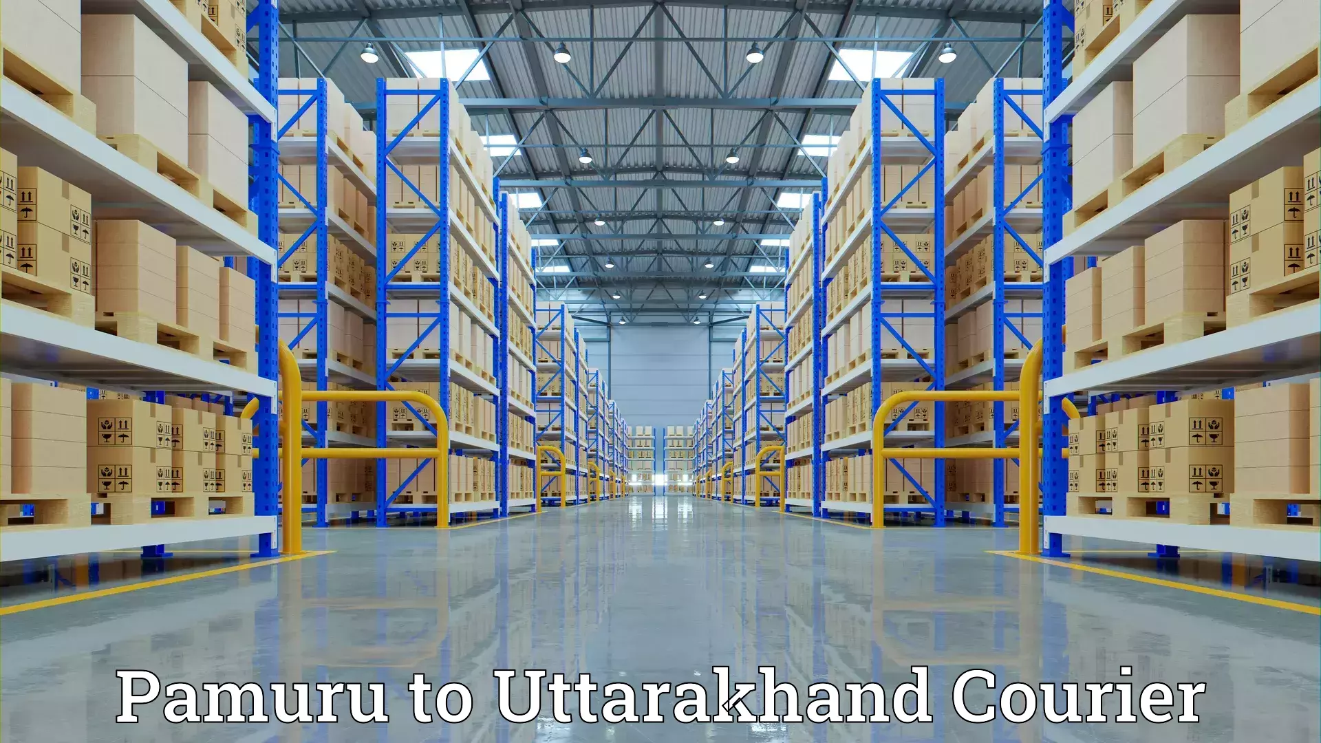 Customized moving solutions Pamuru to Uttarakhand