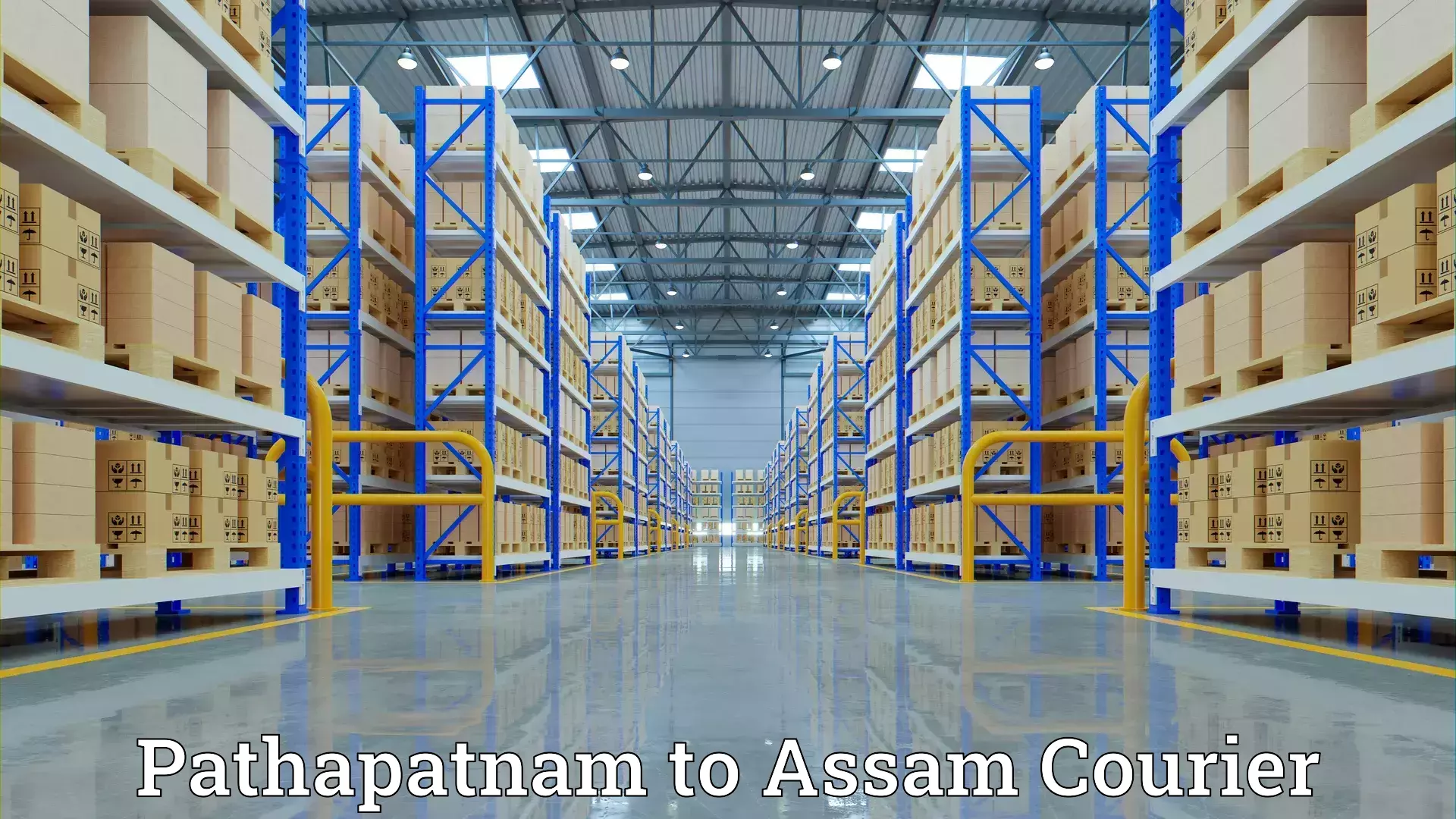 Comprehensive goods transport in Pathapatnam to Assam