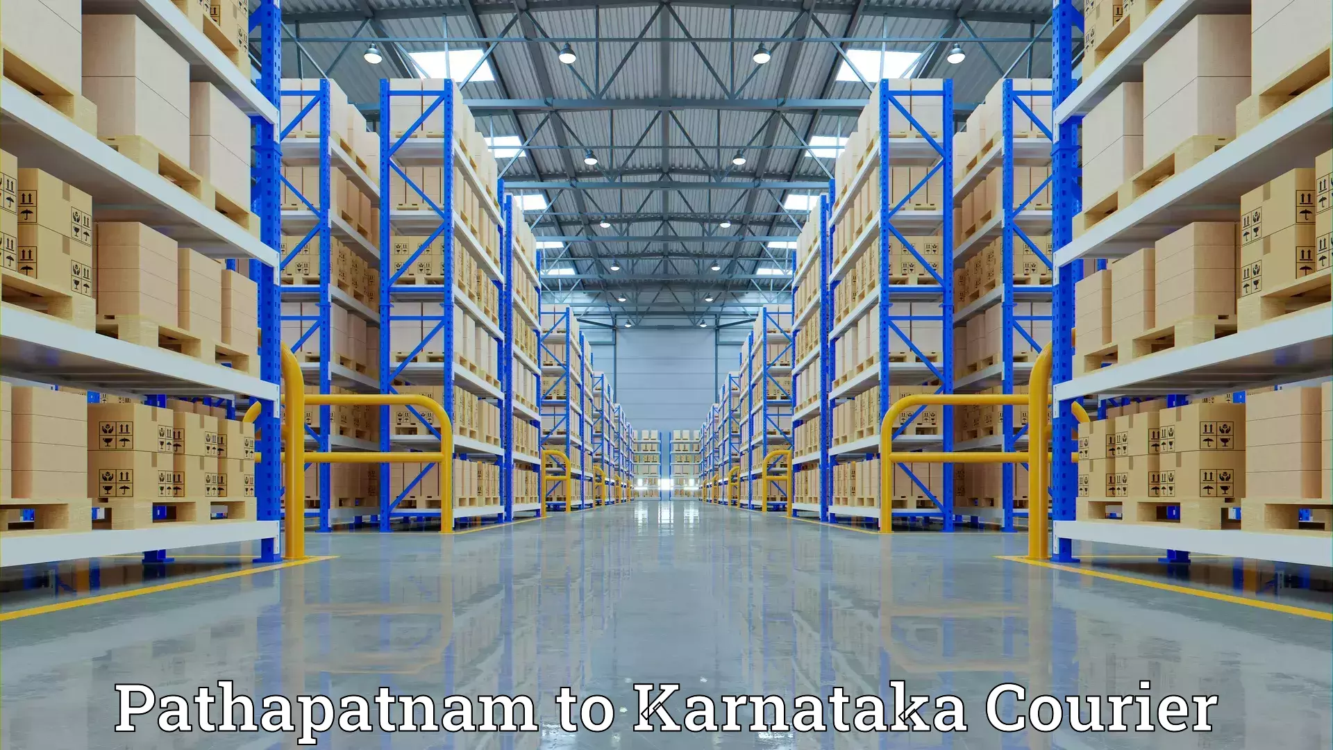 Professional moving assistance Pathapatnam to Mangalore Port