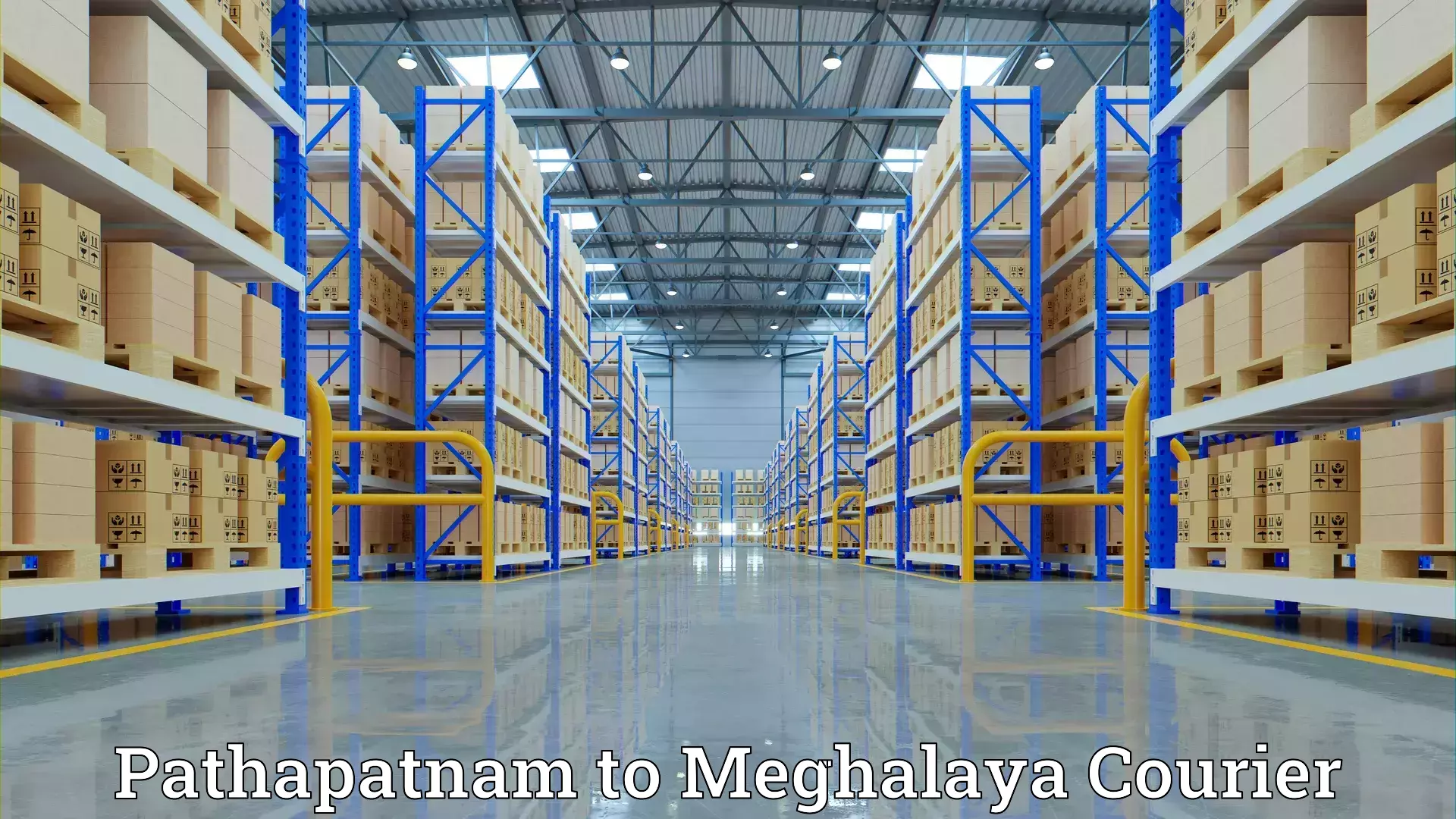 Expert goods movers Pathapatnam to Garobadha