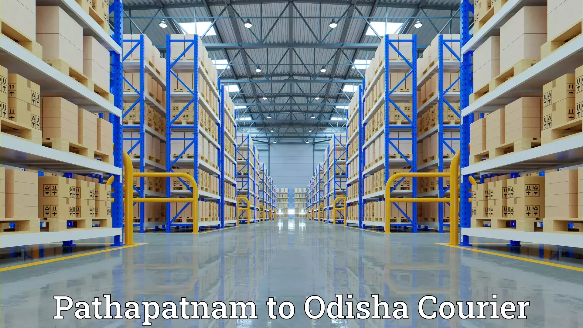 Skilled home shifting Pathapatnam to Paikana