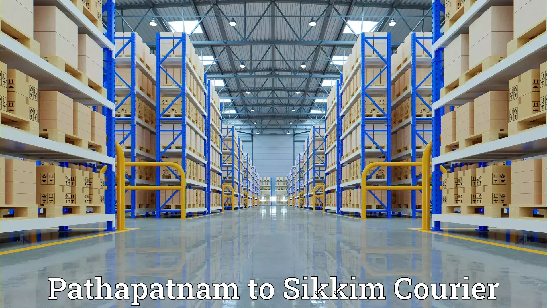 Expert household movers Pathapatnam to South Sikkim