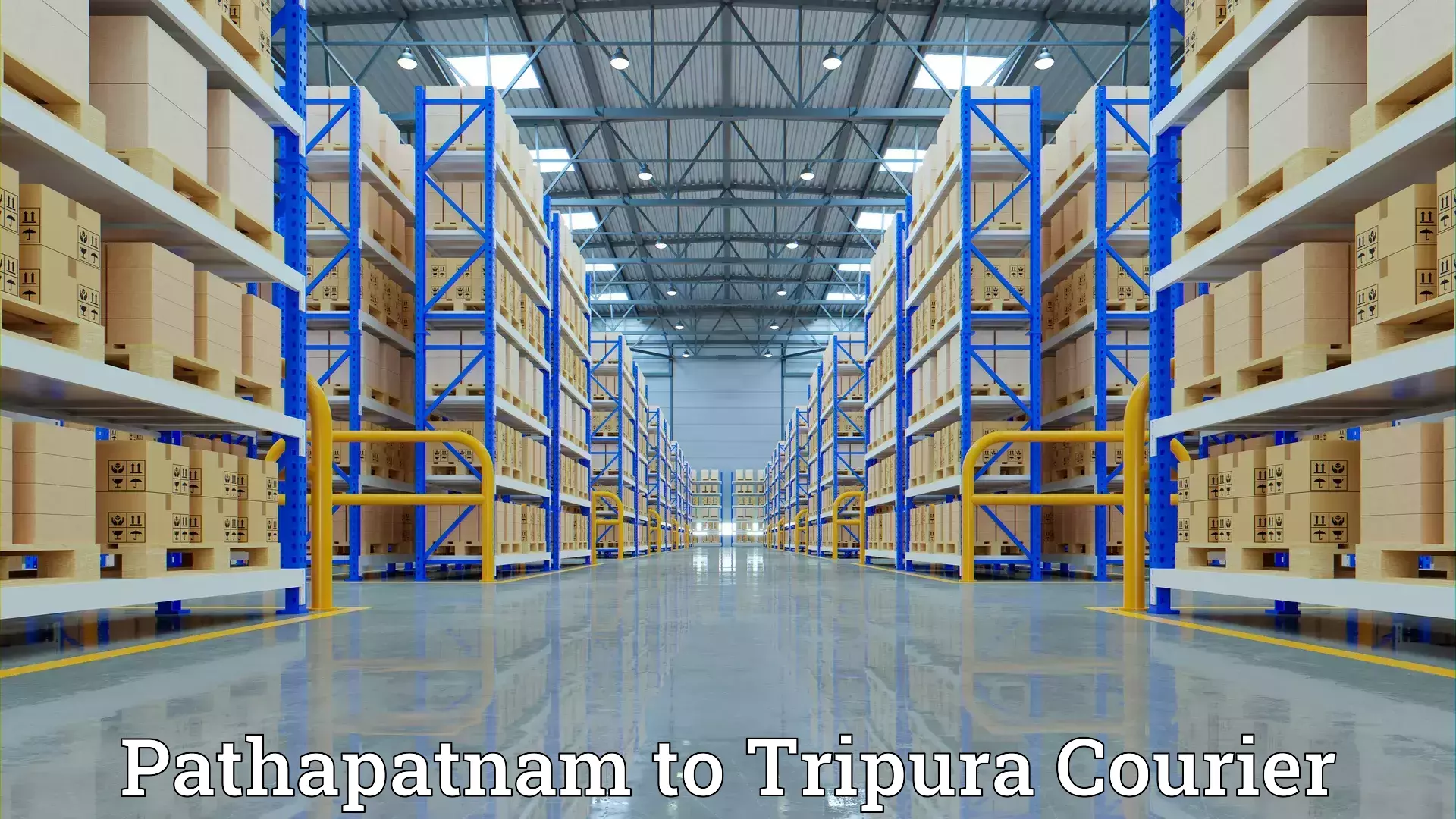 Customized relocation services Pathapatnam to Kamalpur