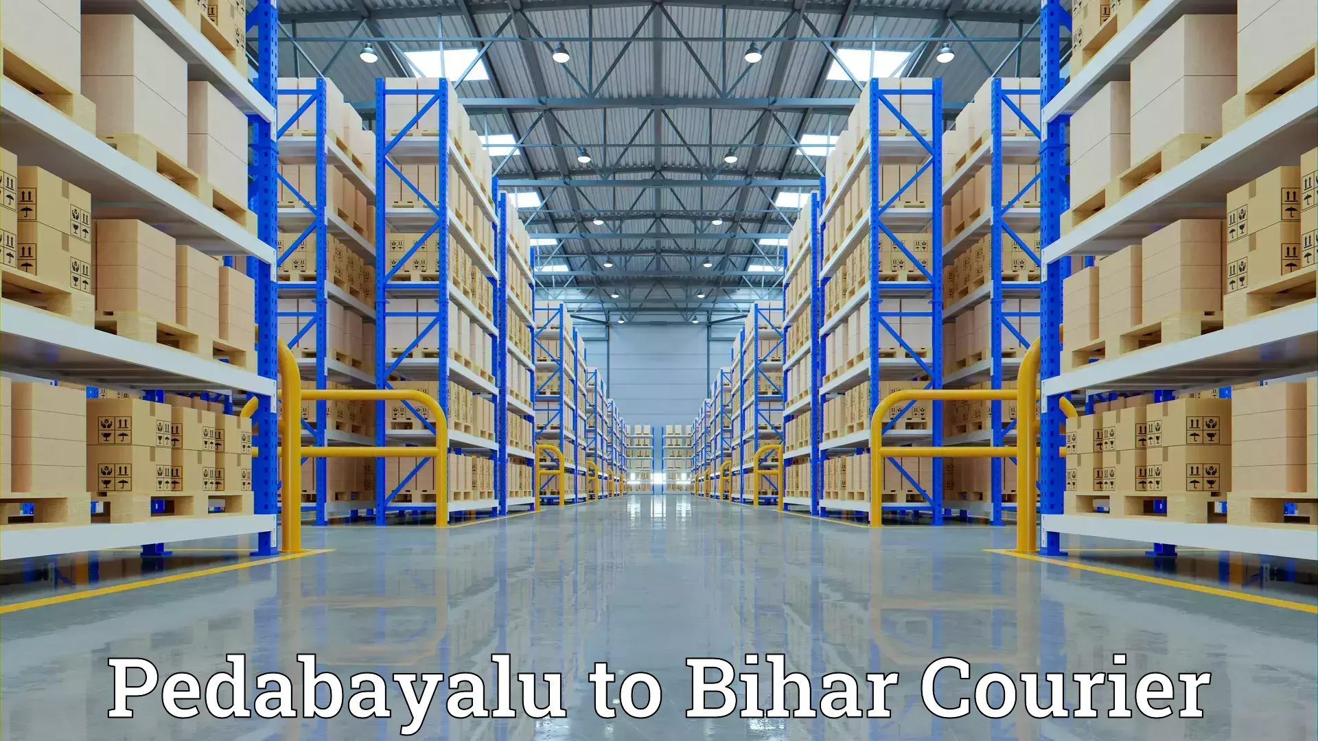 Packing and moving services Pedabayalu to Bihar