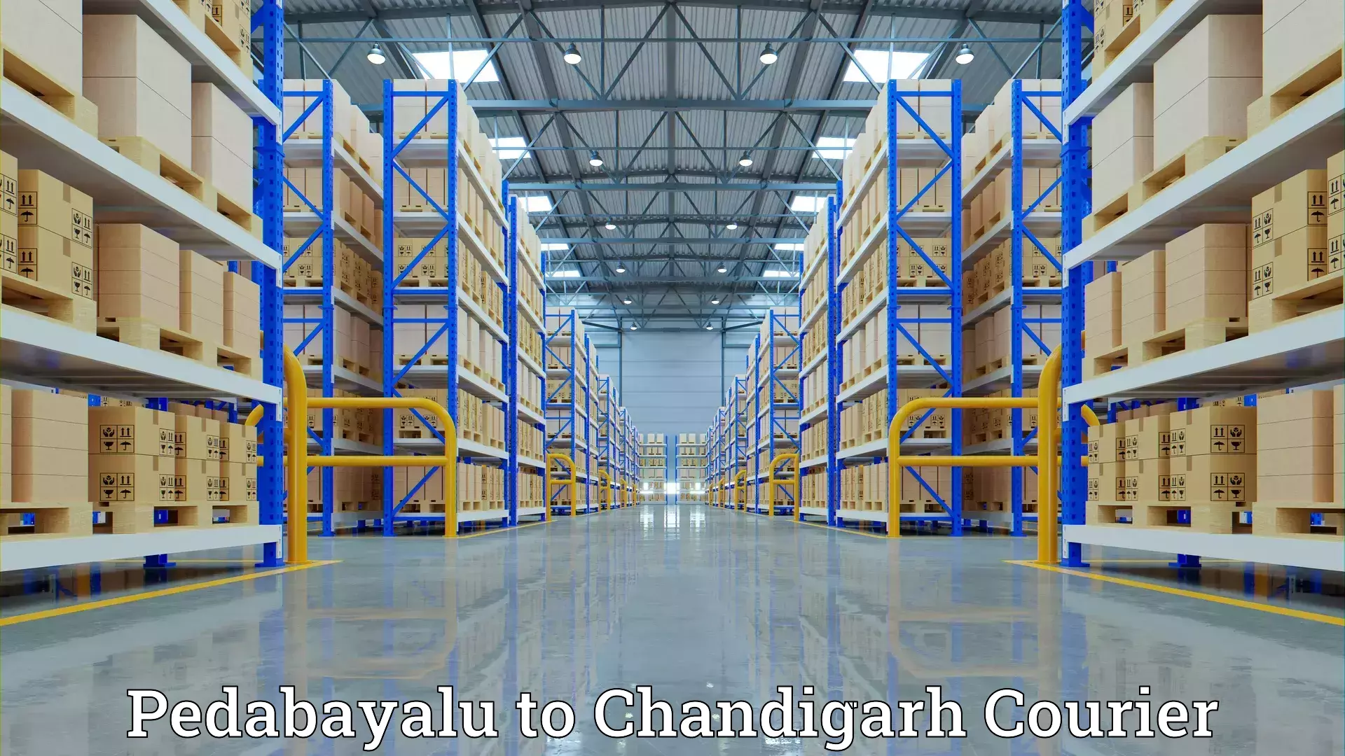 Furniture relocation services Pedabayalu to Chandigarh