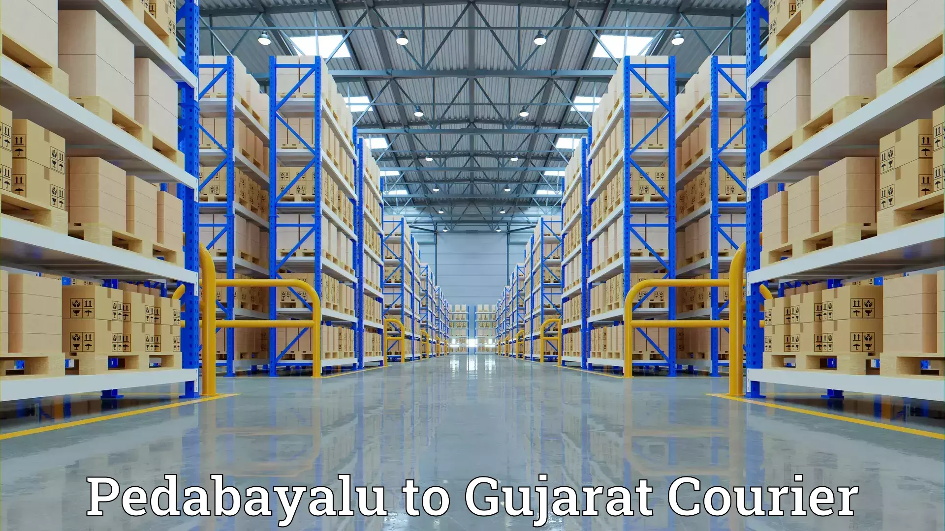 Home goods movers Pedabayalu to Rajkot