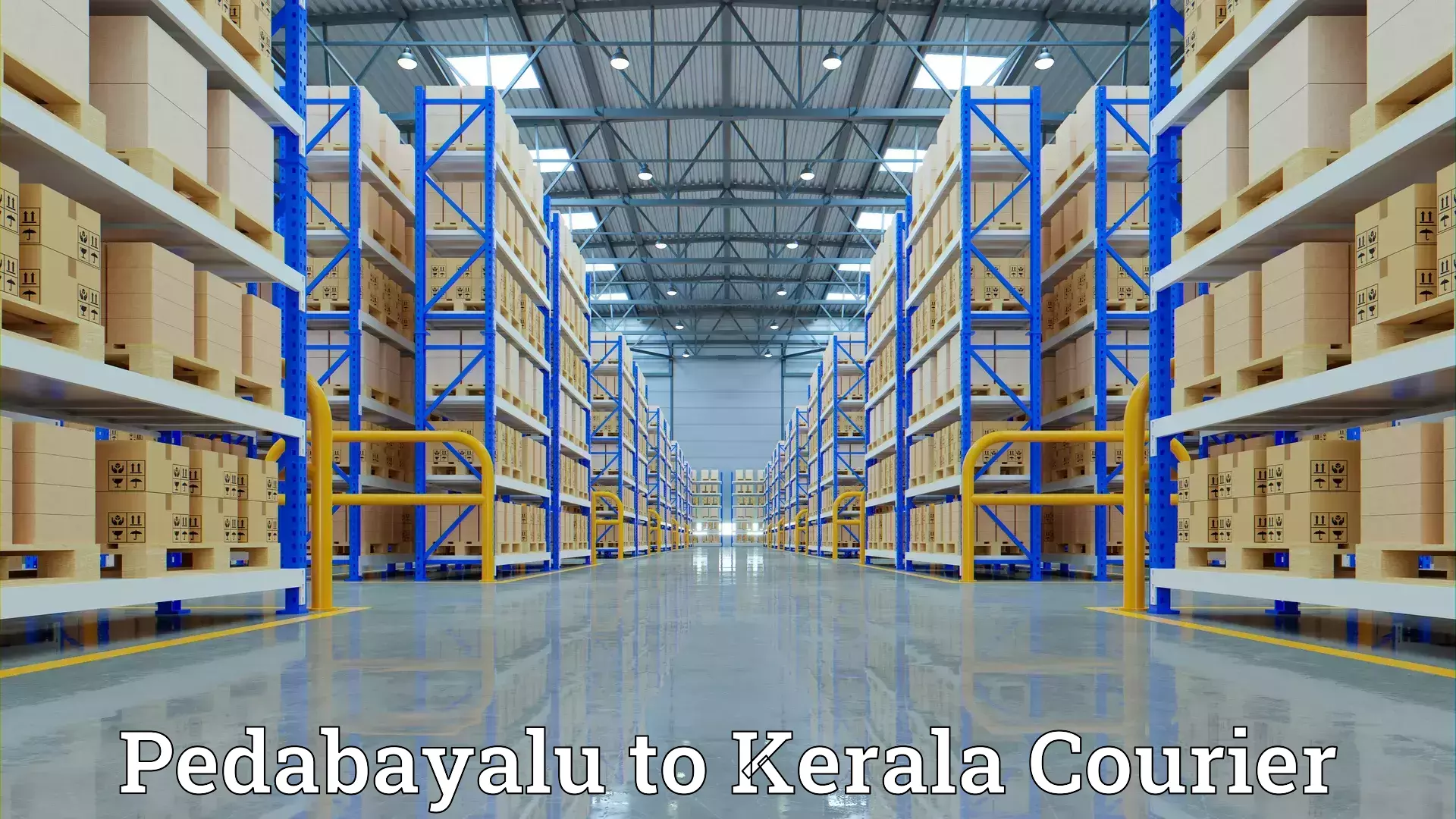 Tailored relocation services Pedabayalu to Kothanalloor