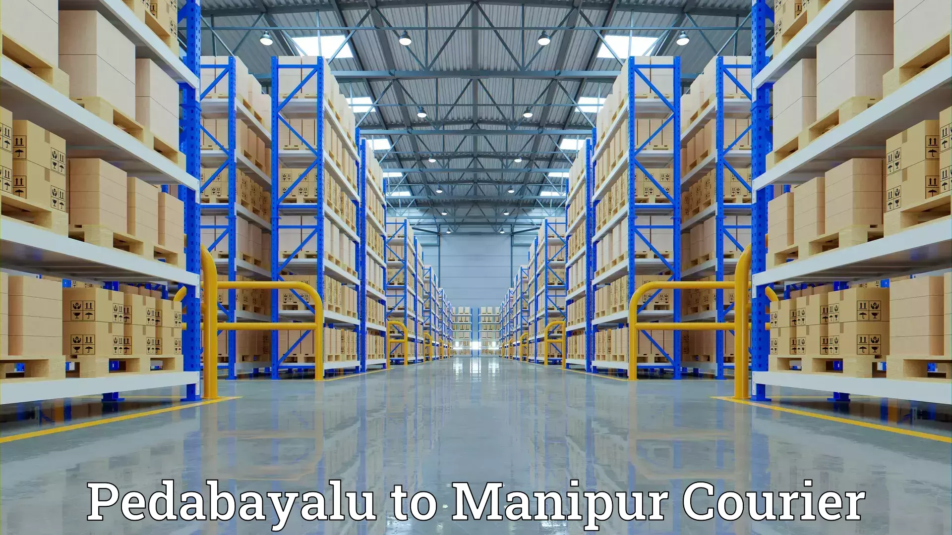 Moving and packing experts Pedabayalu to Manipur