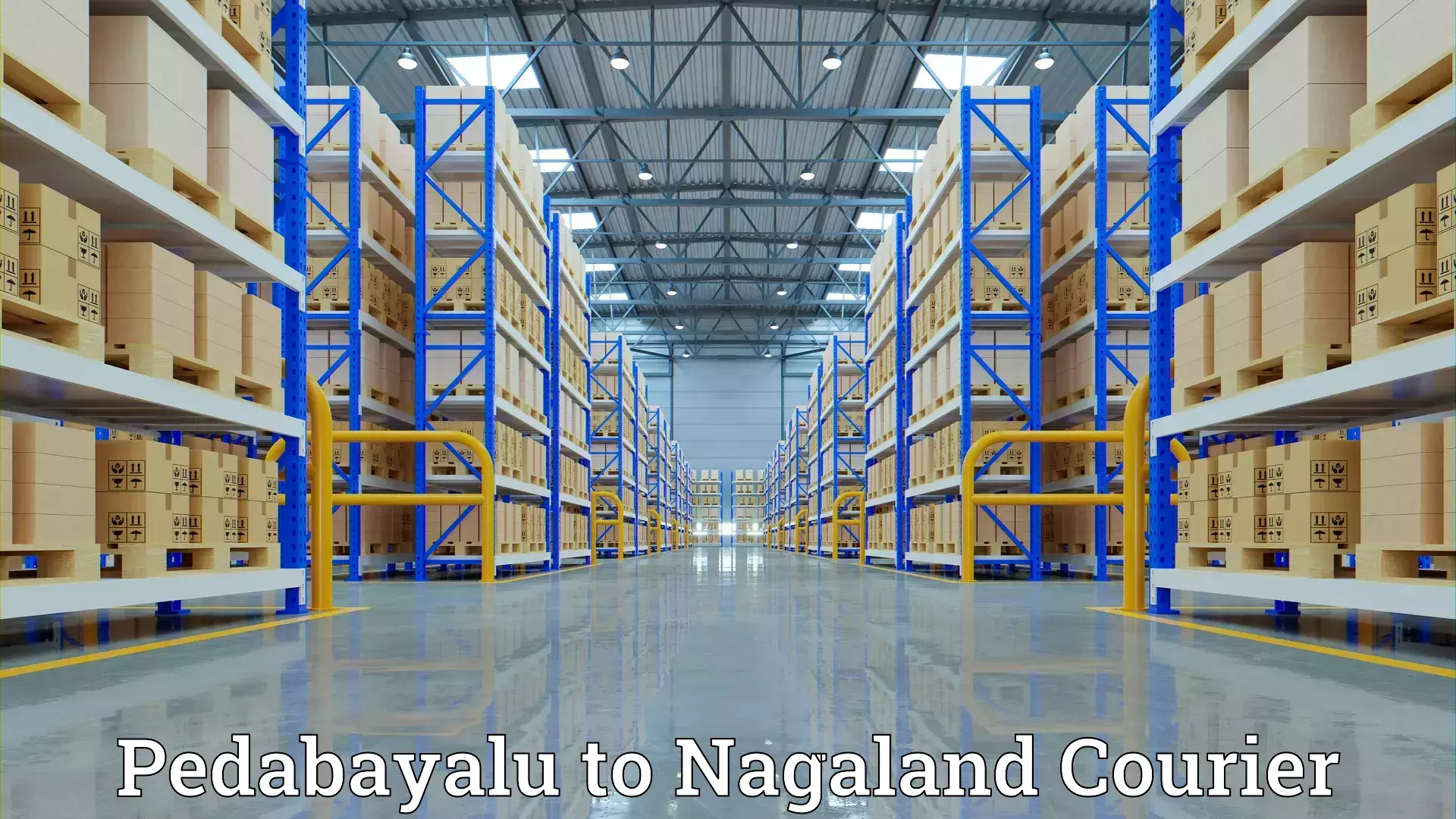 Local home movers Pedabayalu to Nagaland