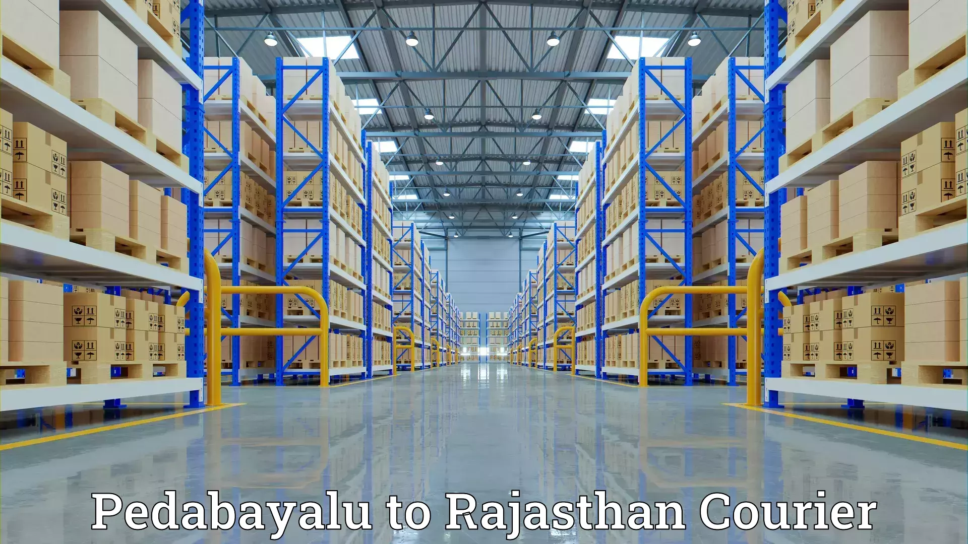 Home relocation solutions Pedabayalu to Rajasthan