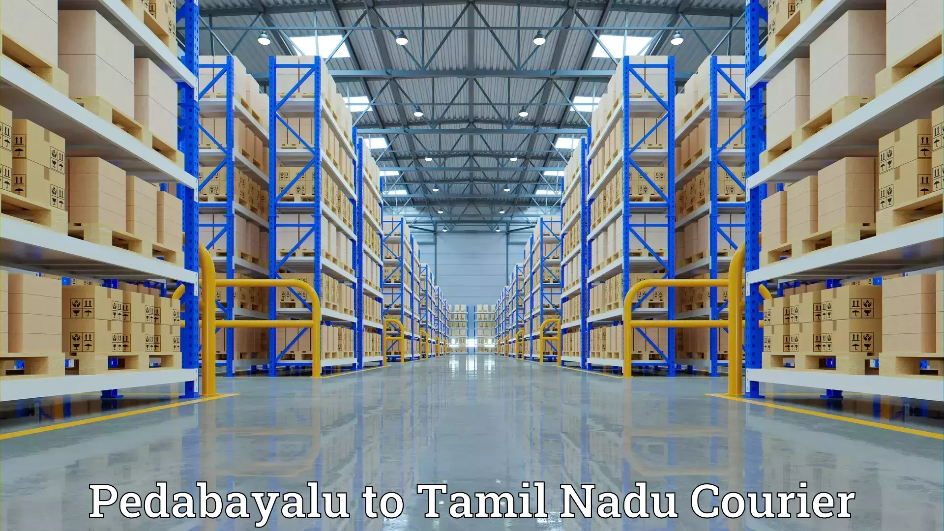 Full home moving services Pedabayalu to Thuckalay