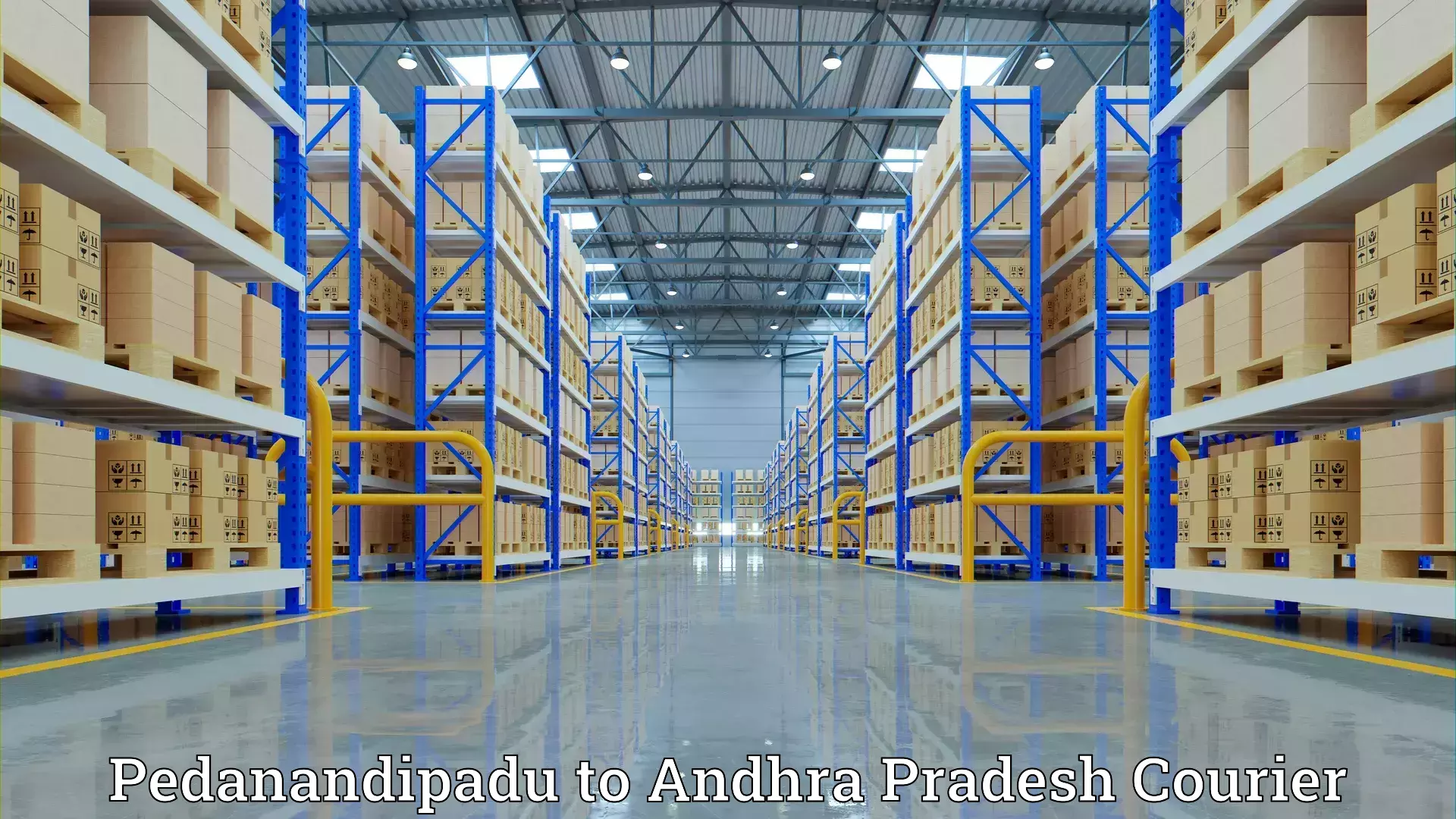 Cost-effective furniture movers Pedanandipadu to Naidupeta