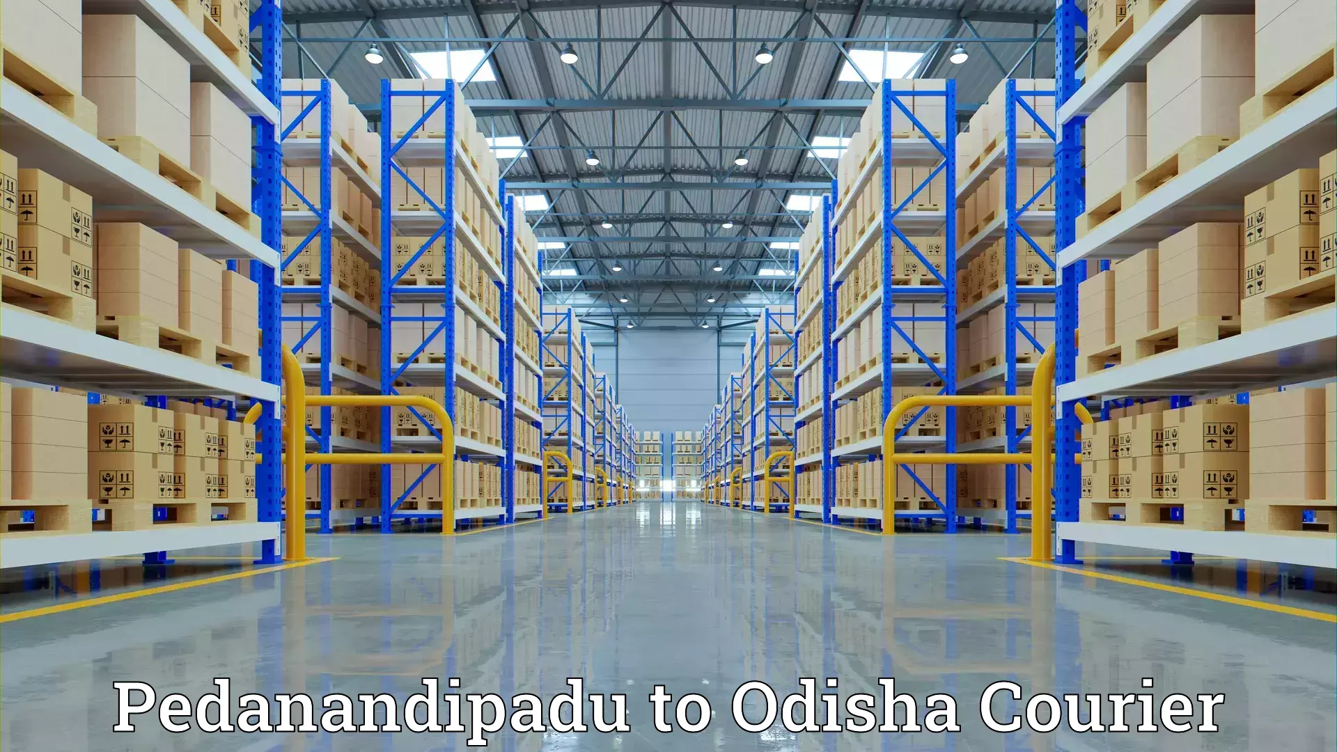 Efficient moving company Pedanandipadu to Paradip