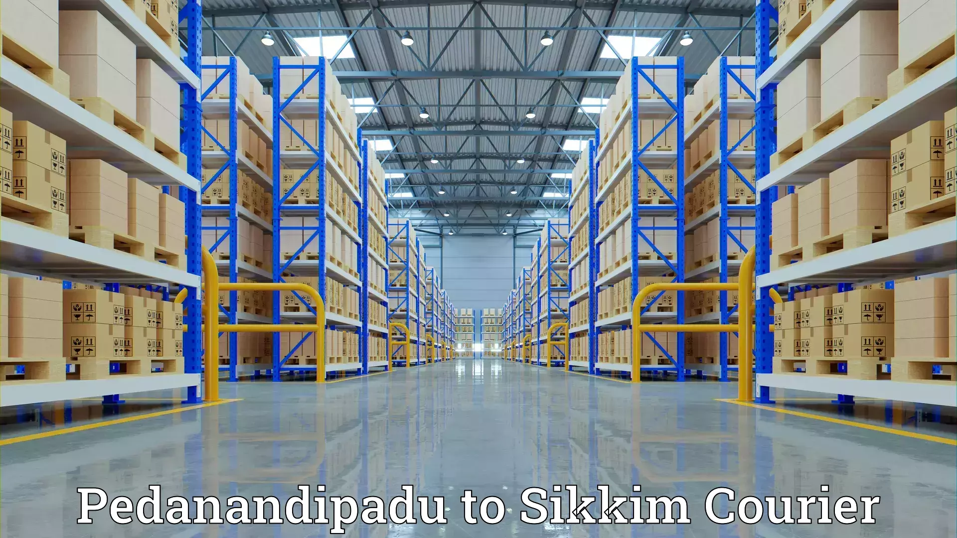 Household goods transport Pedanandipadu to Sikkim