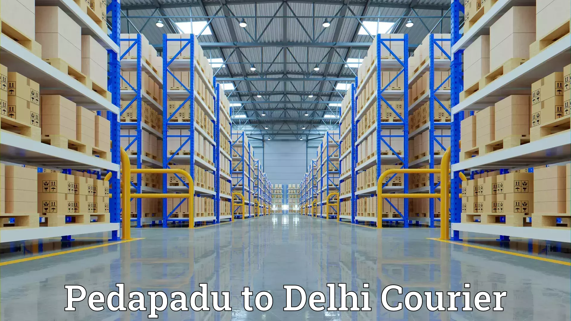 Hassle-free relocation Pedapadu to University of Delhi