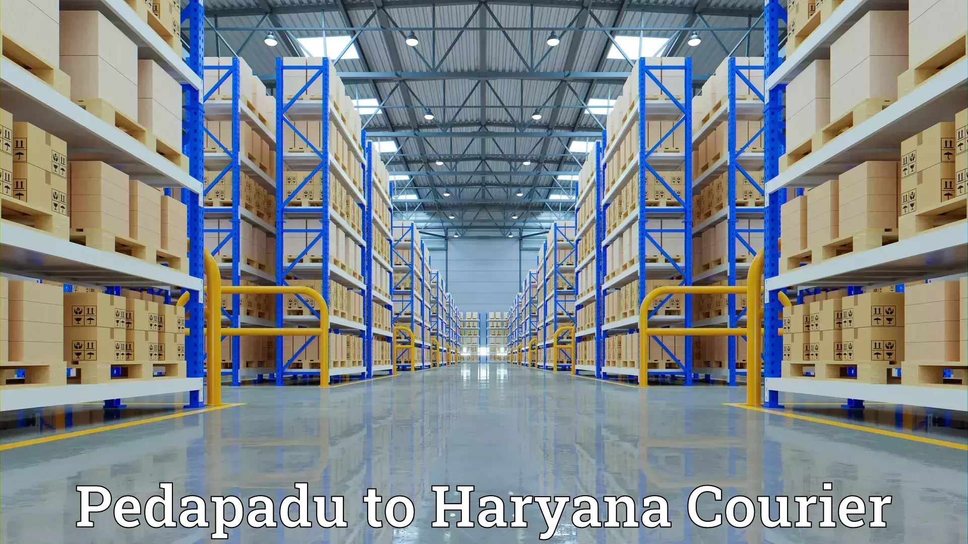 Professional home goods shifting Pedapadu to Shahabad Markanda