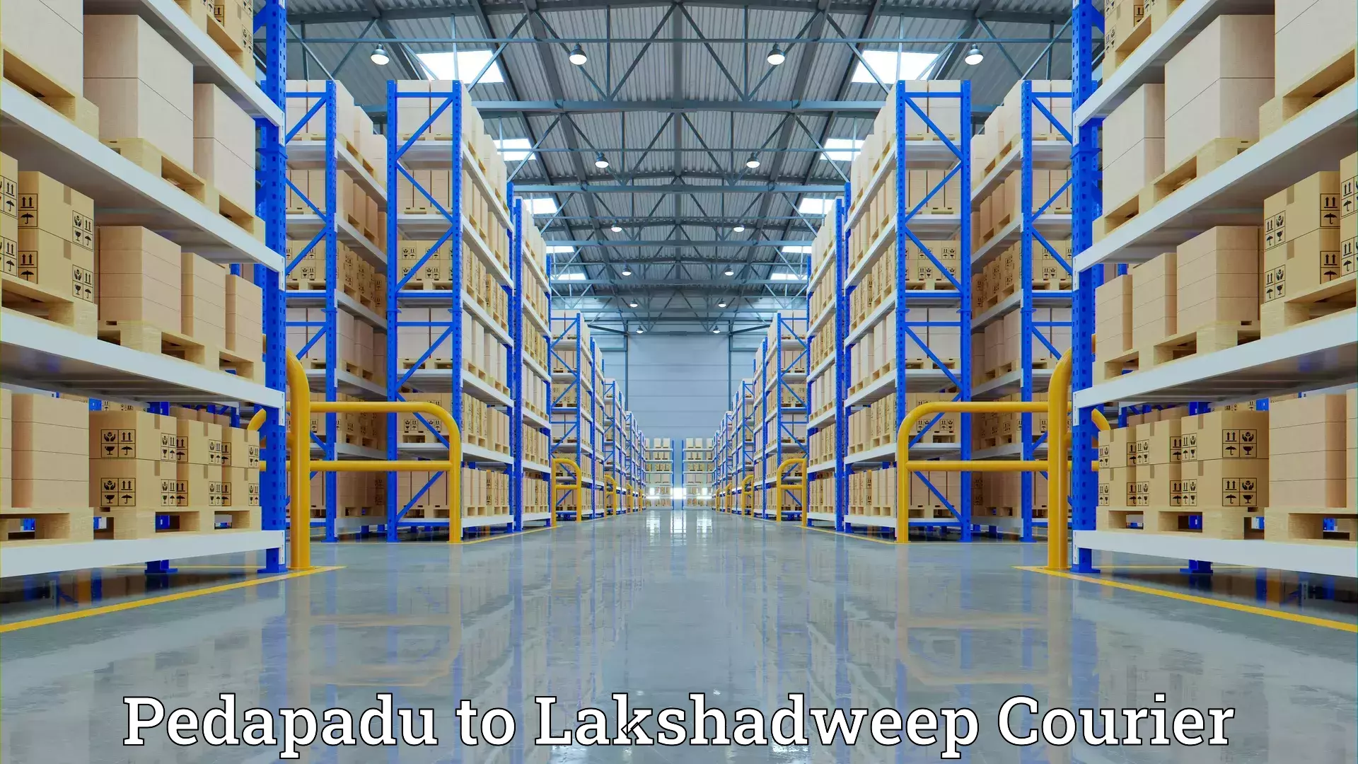 Professional goods transport Pedapadu to Lakshadweep