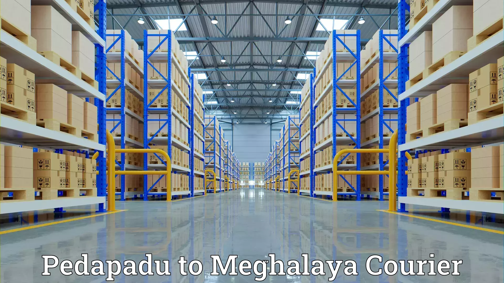 Home goods moving company Pedapadu to East Khasi Hills