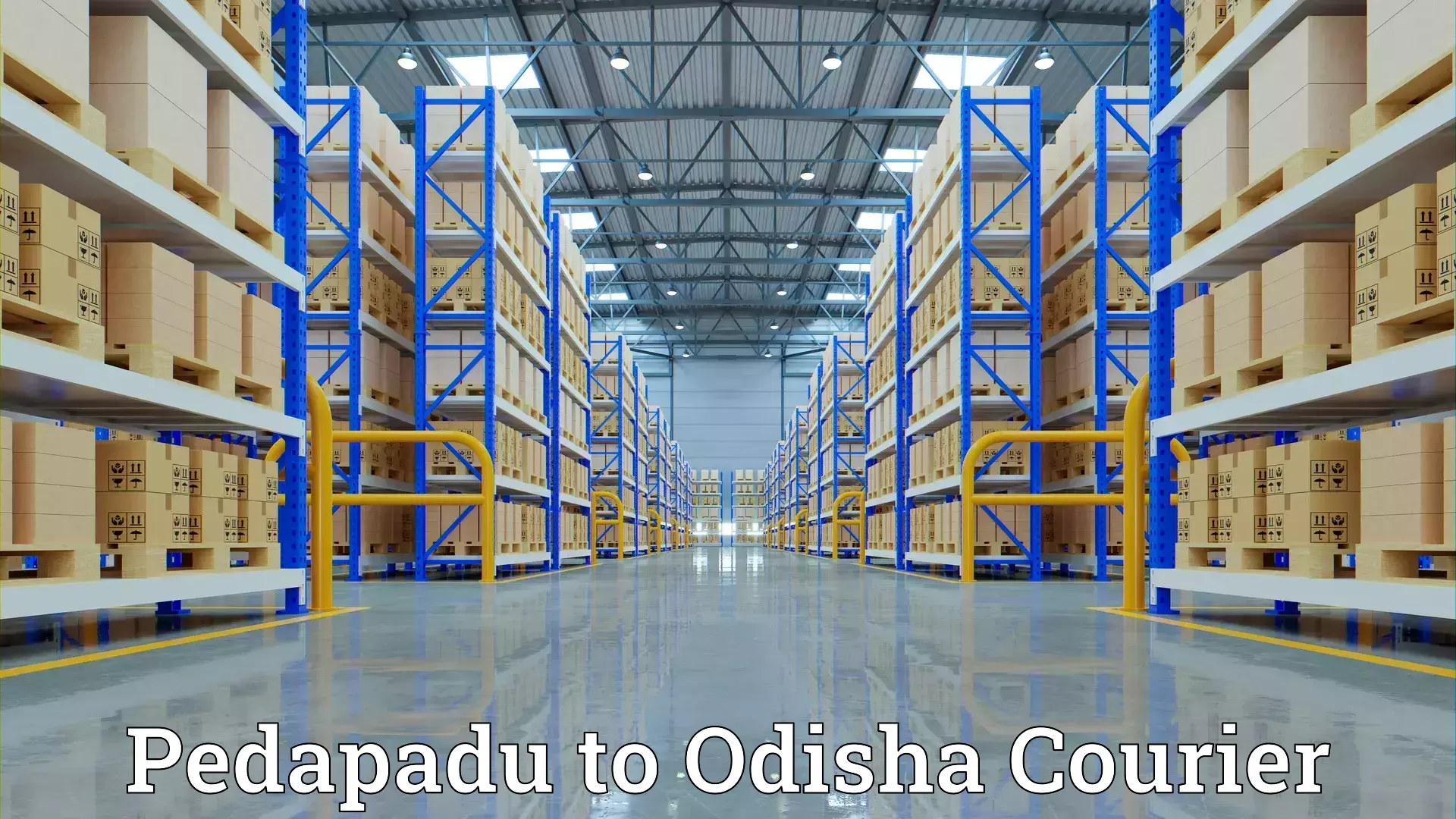 Comprehensive moving services Pedapadu to Mayurbhanj