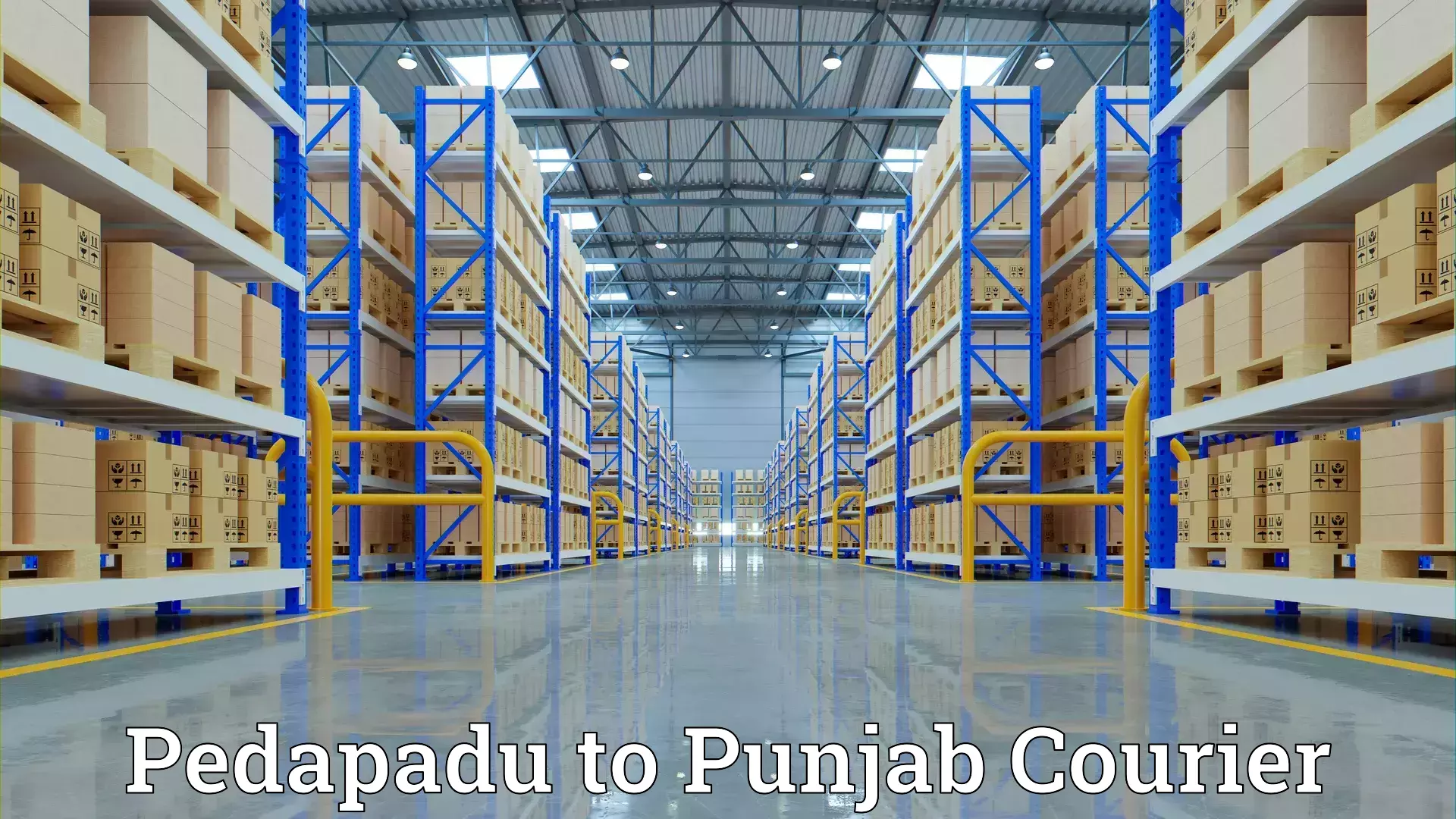 Tailored moving packages Pedapadu to Barnala