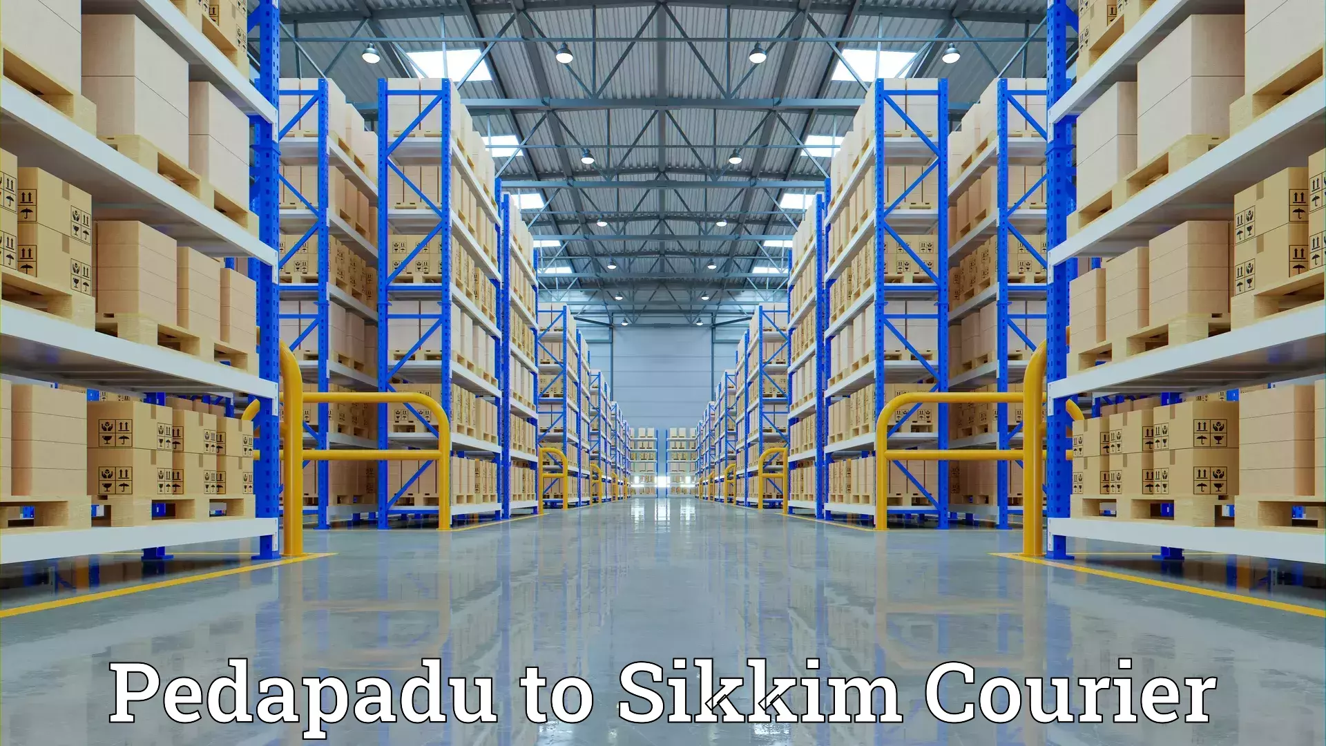 Efficient household relocation Pedapadu to East Sikkim