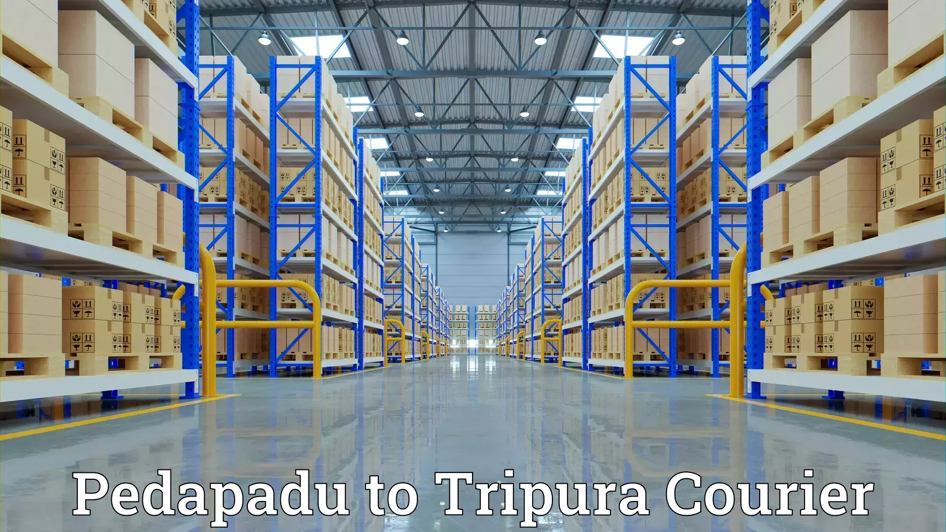 Home moving specialists in Pedapadu to Tripura