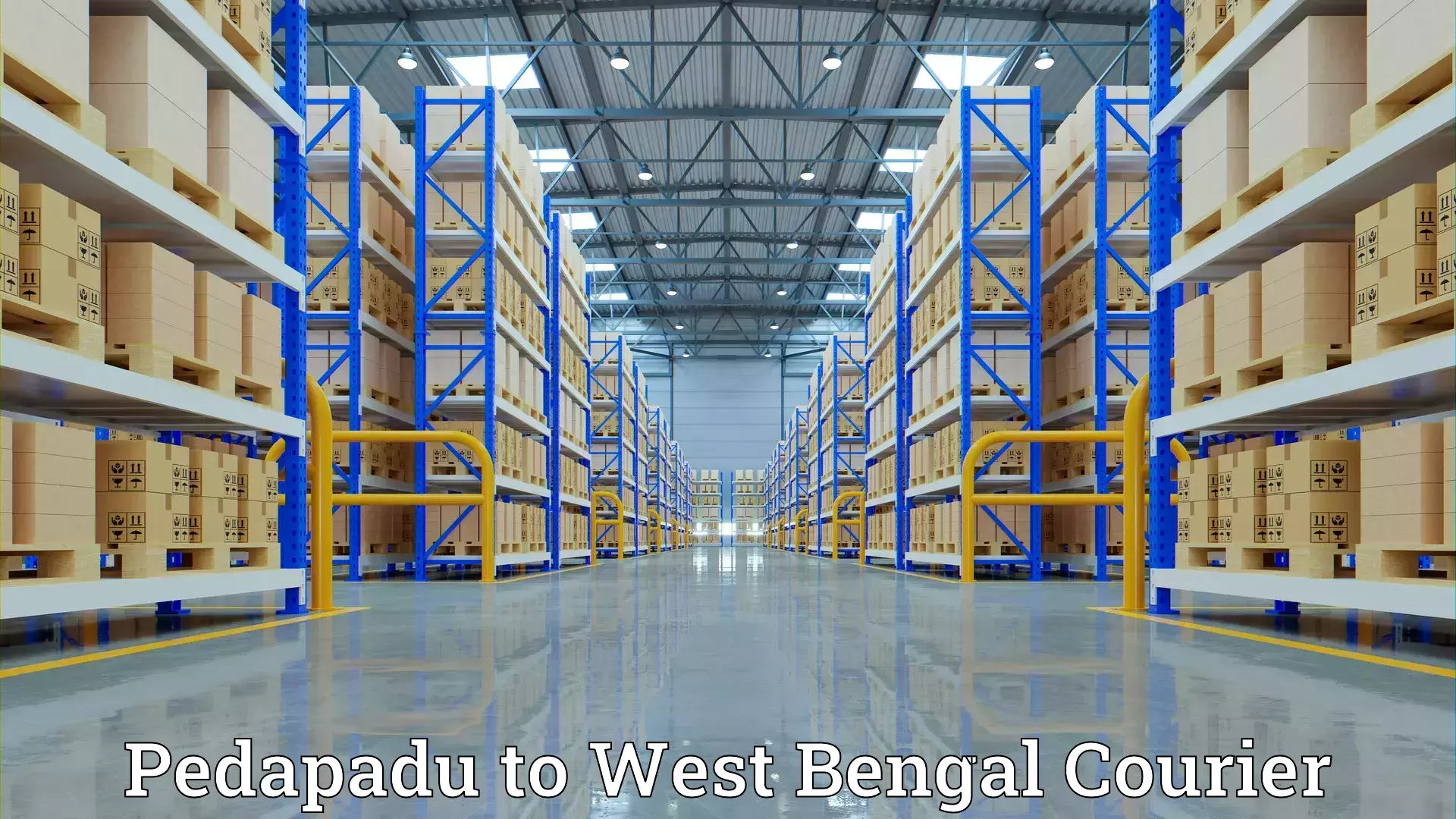 Custom moving and storage Pedapadu to Paschim Medinipur