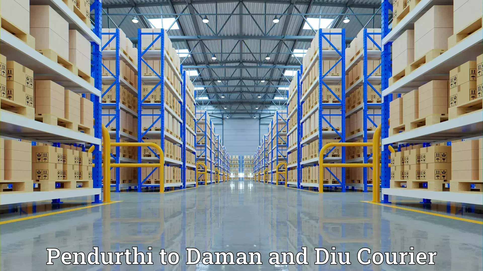 Quality moving and storage Pendurthi to Daman and Diu