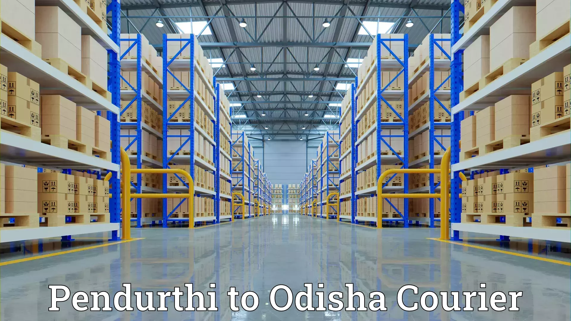 Moving service excellence Pendurthi to Odisha