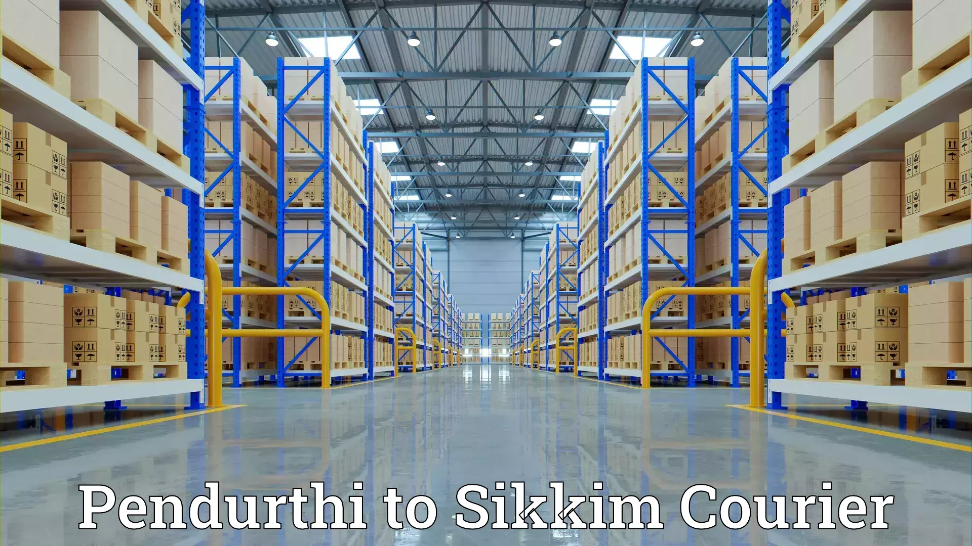 Quality furniture movers Pendurthi to East Sikkim