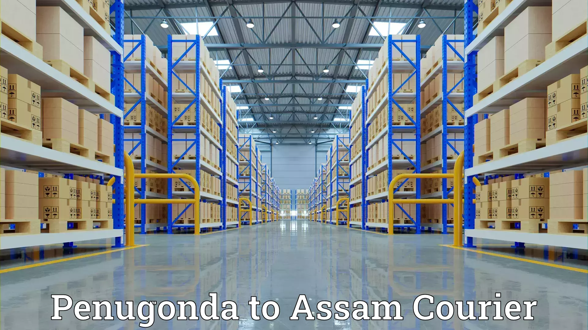 Household goods delivery Penugonda to Assam