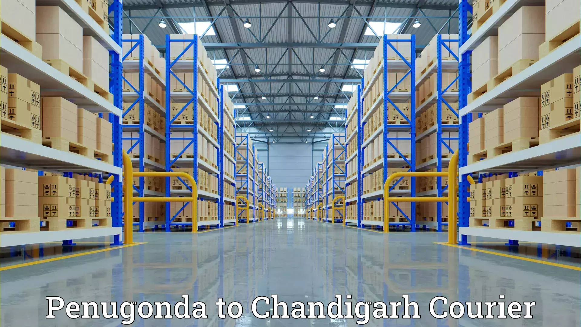 Professional home shifting Penugonda to Chandigarh