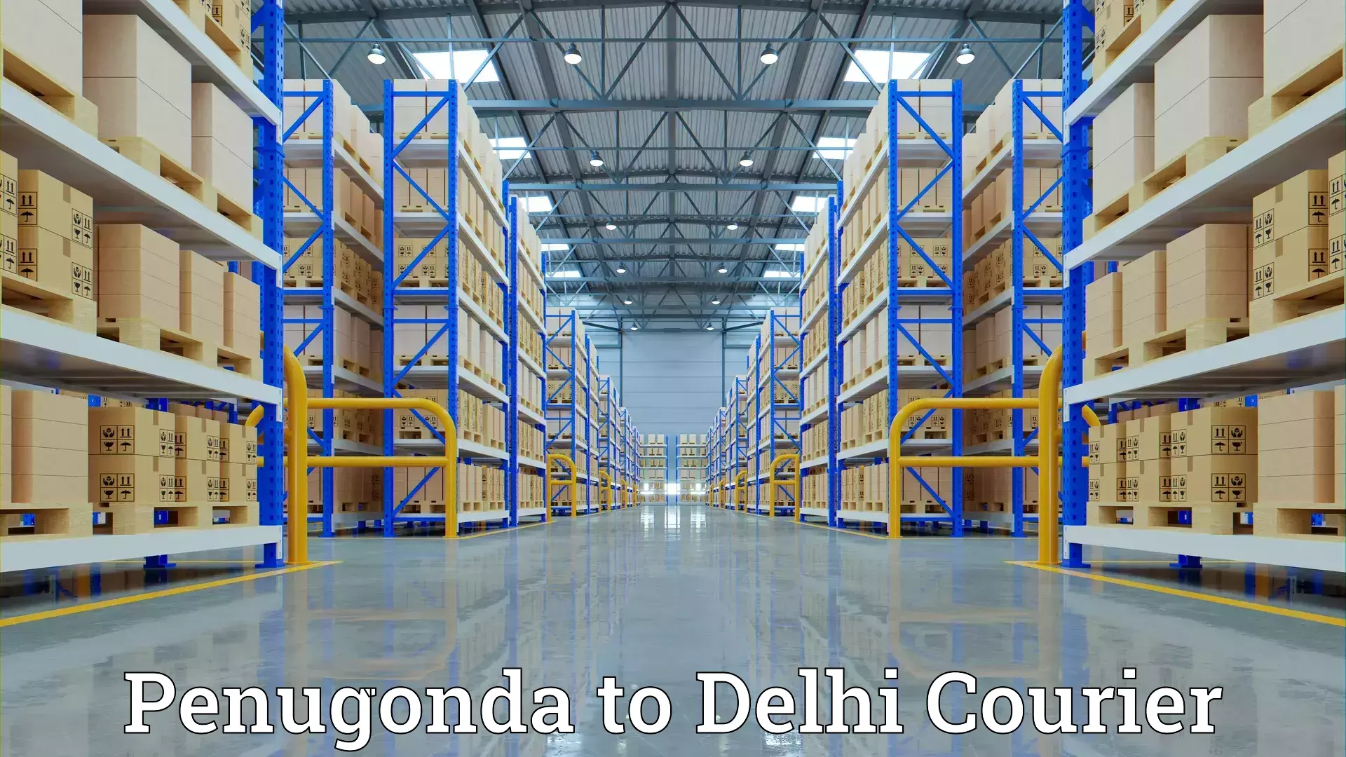 Furniture transport solutions Penugonda to Delhi Technological University DTU