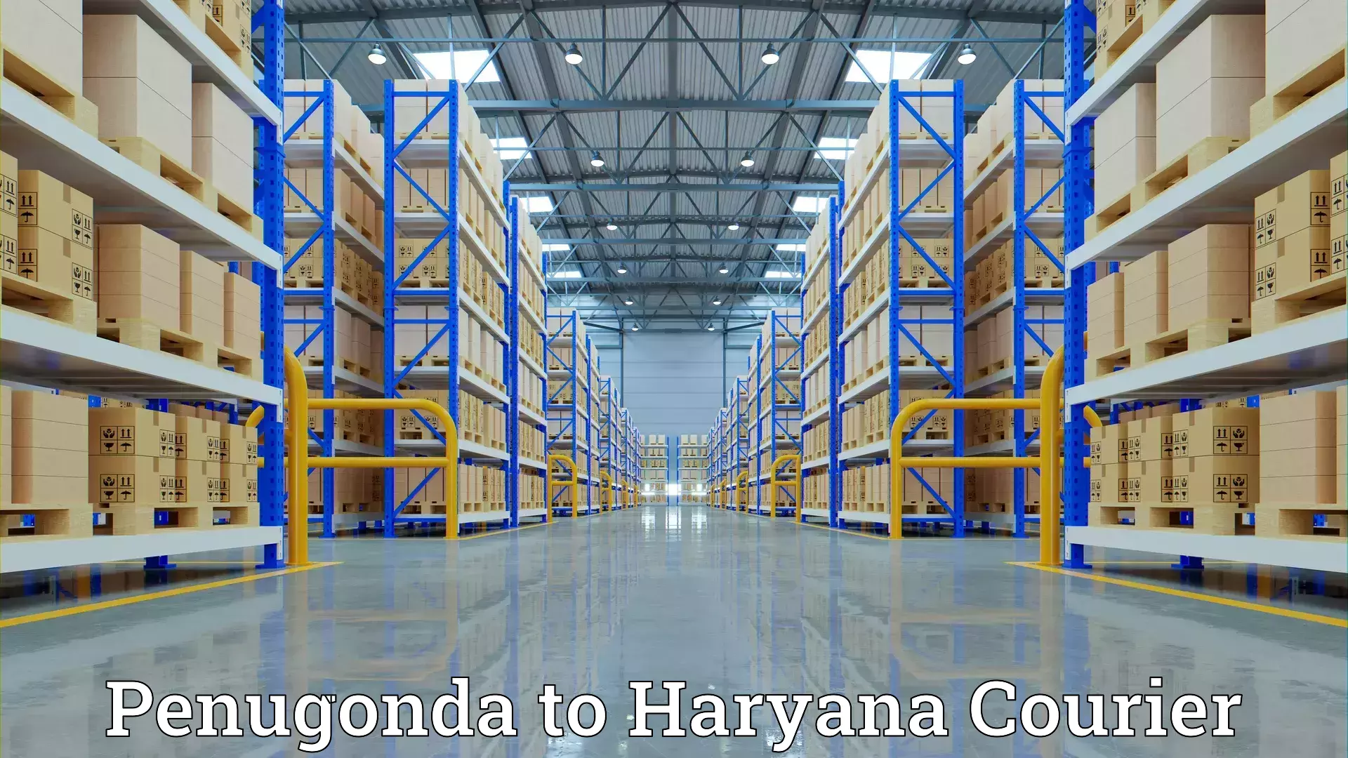 Quality furniture transport Penugonda to Haryana