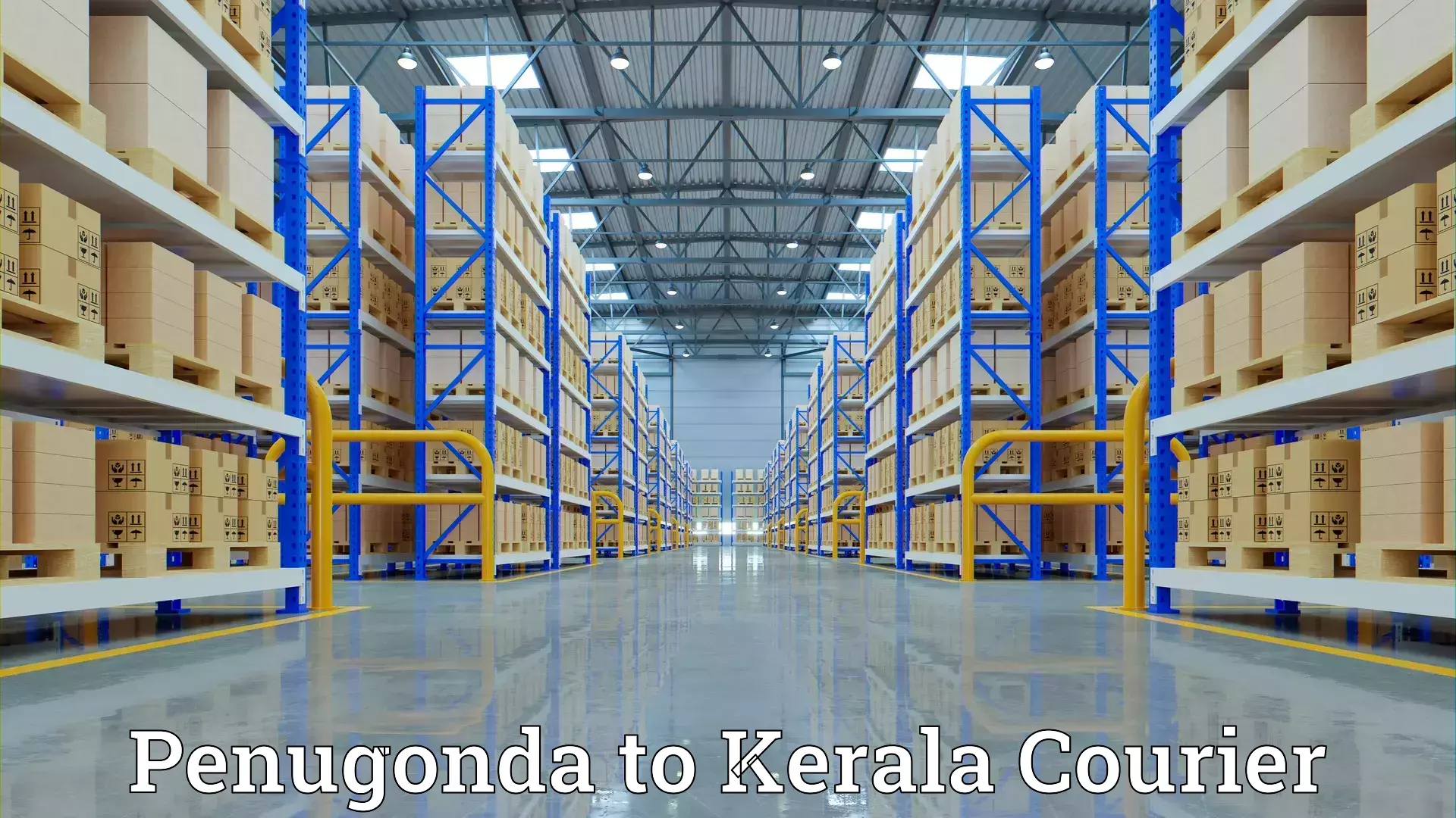 Furniture transport and logistics Penugonda to Kanhangad