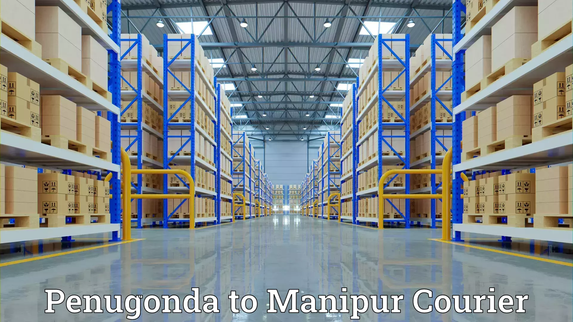 Furniture moving assistance Penugonda to Manipur