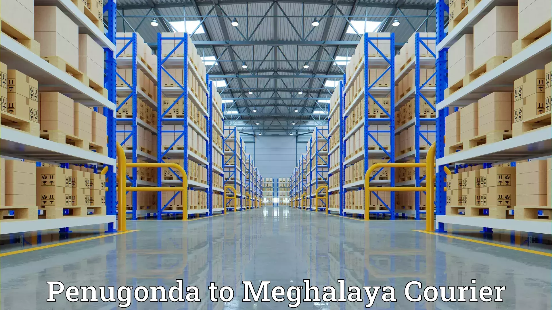 Household logistics services in Penugonda to Shillong