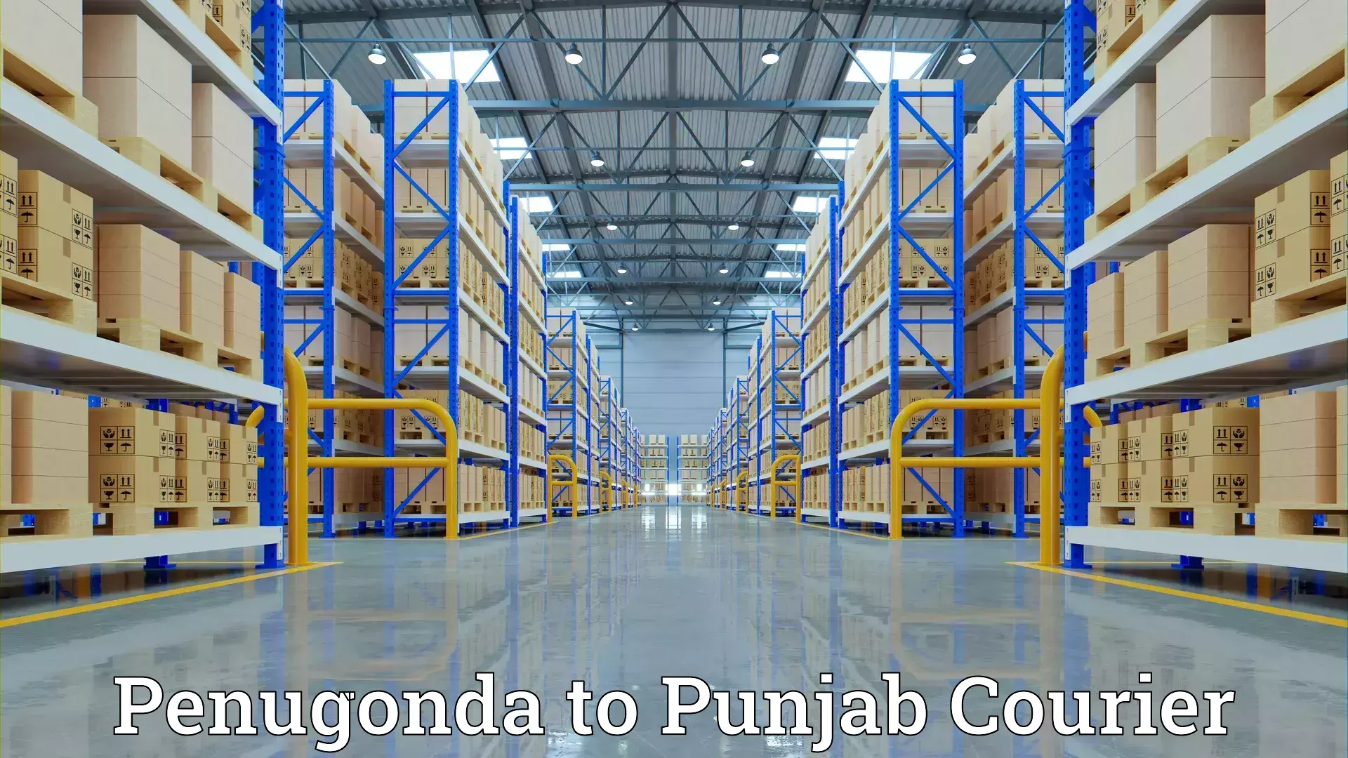 High-quality moving services Penugonda to Nakodar