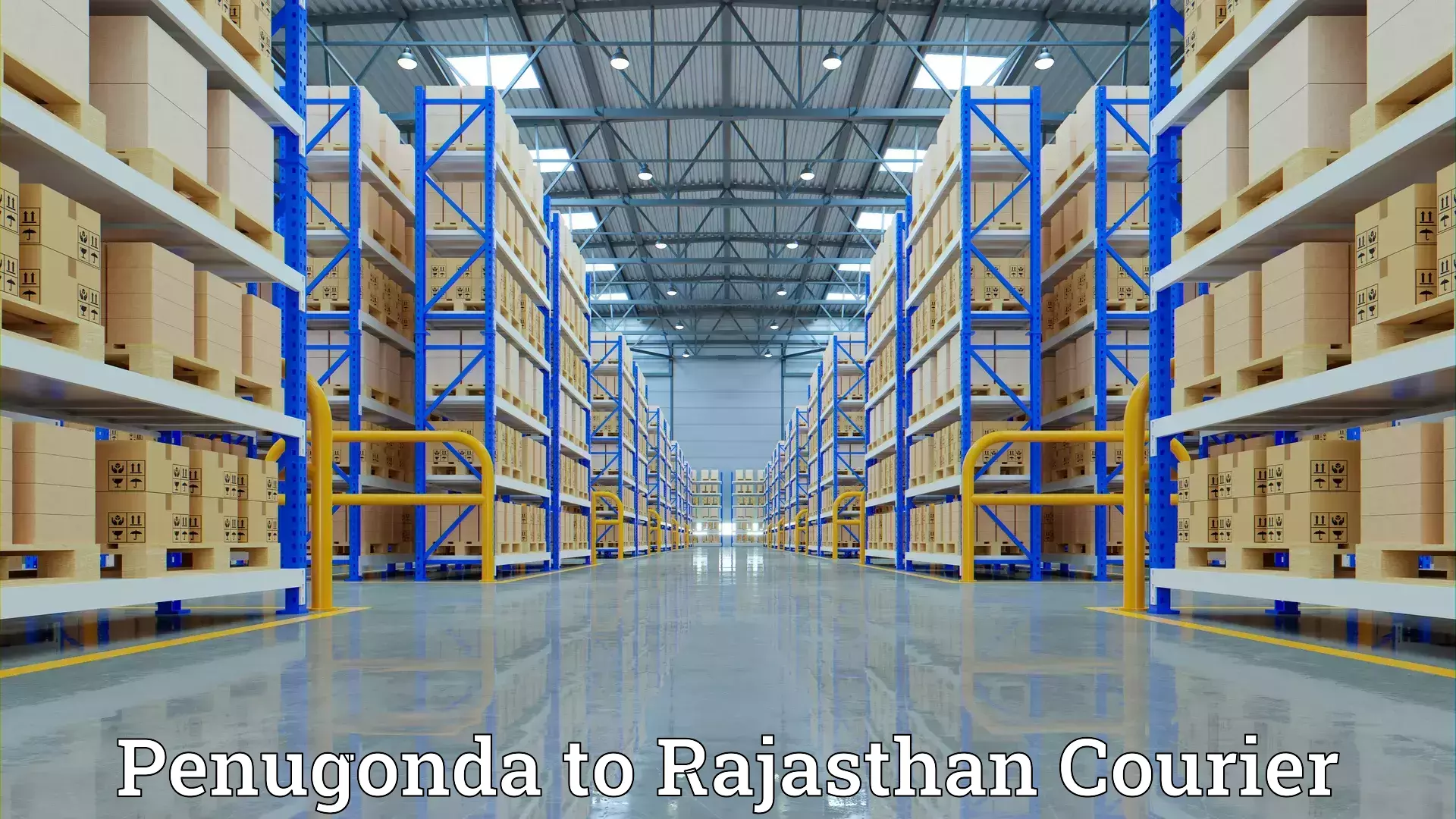 Home relocation and storage Penugonda to Laxmangarh