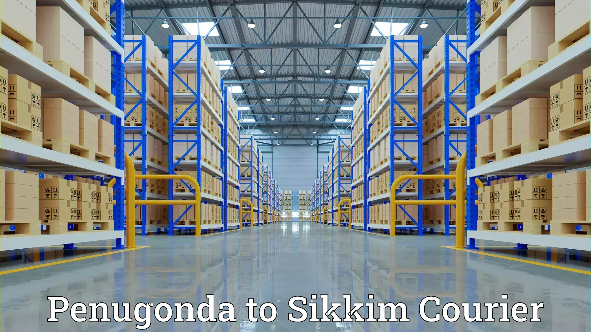 Tailored furniture transport Penugonda to Sikkim