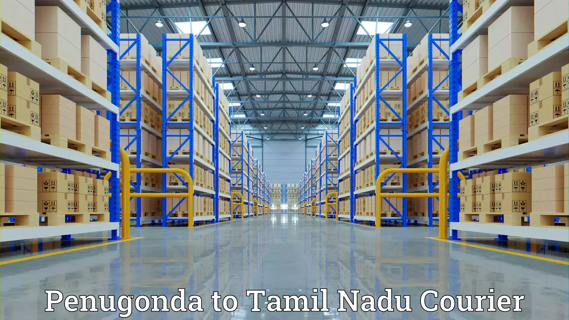 Professional goods transport Penugonda to Karaikudi