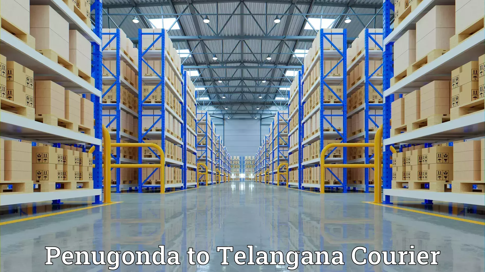 Reliable relocation services Penugonda to Choppadandi